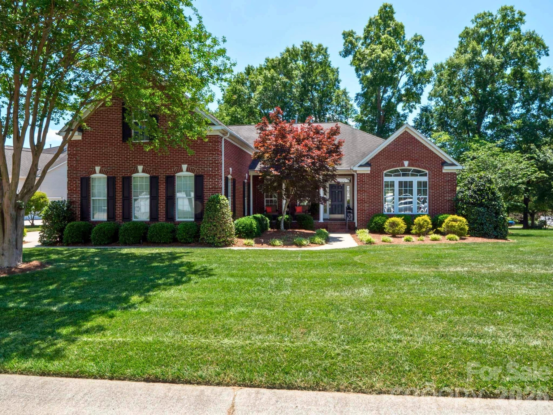 1000 Irish Moss Lane