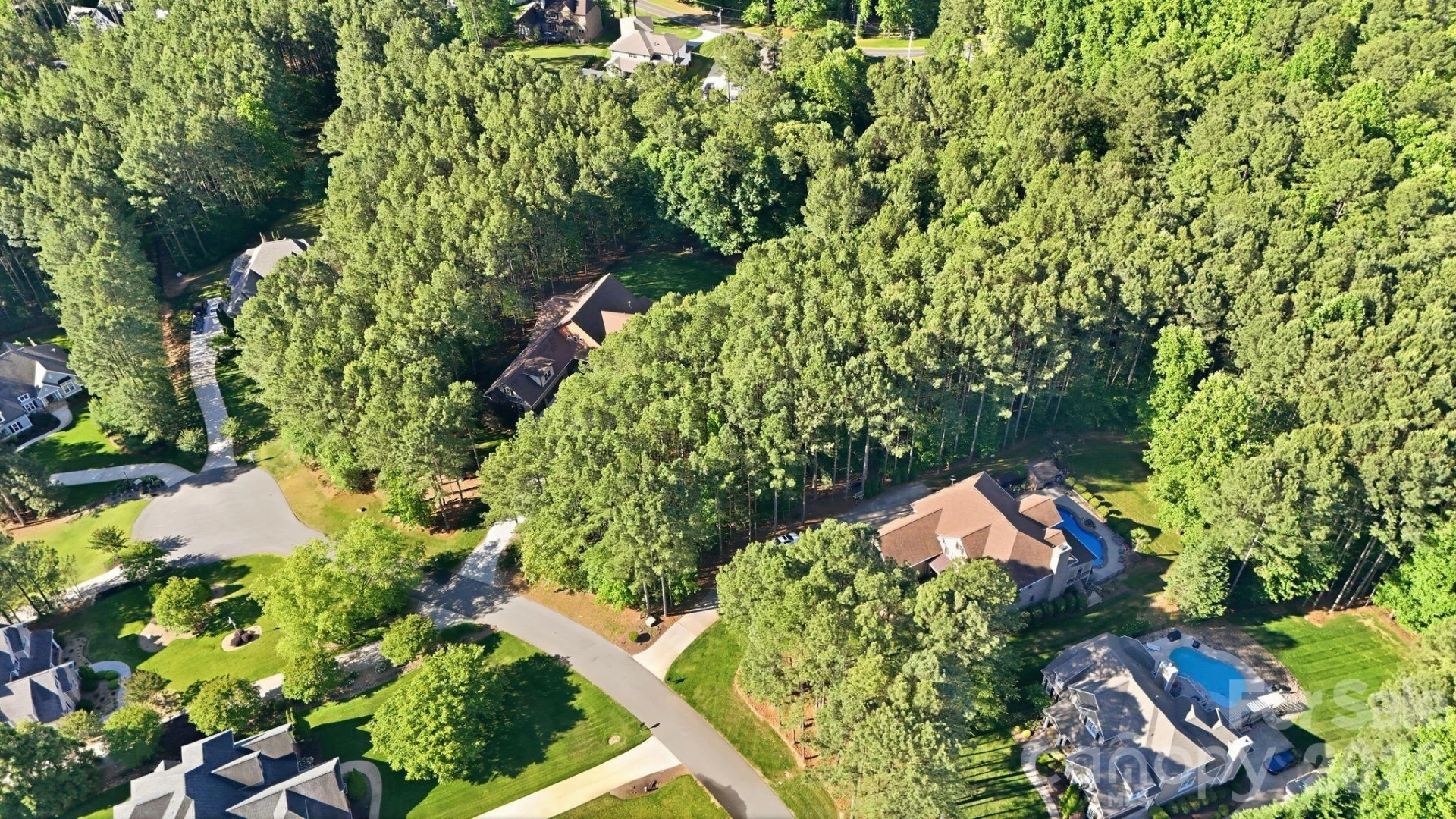 158 Blue Ridge Trail - Photo 2