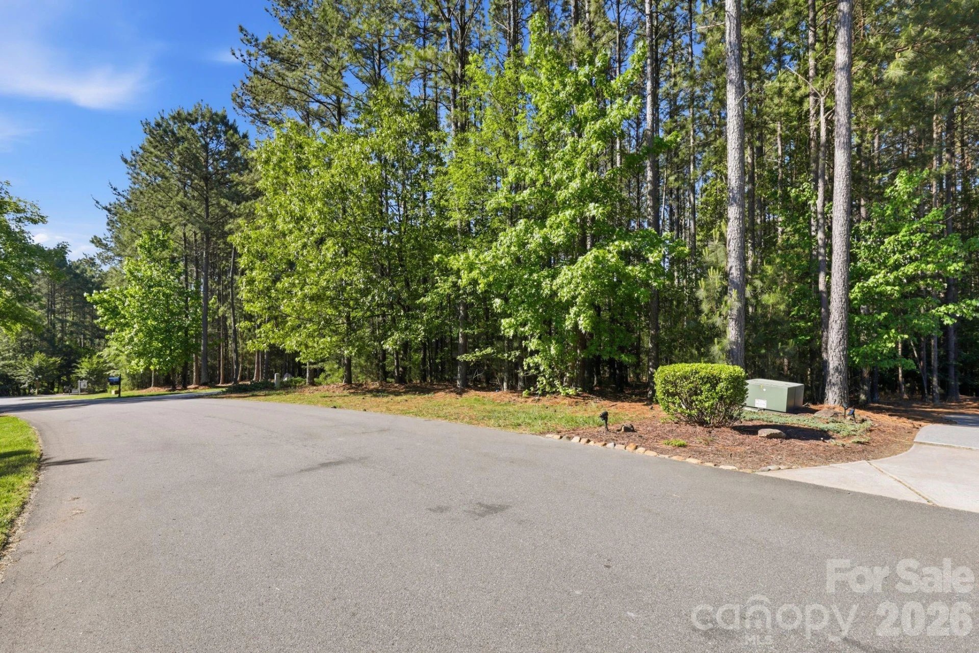 158 Blue Ridge Trail - Photo 4