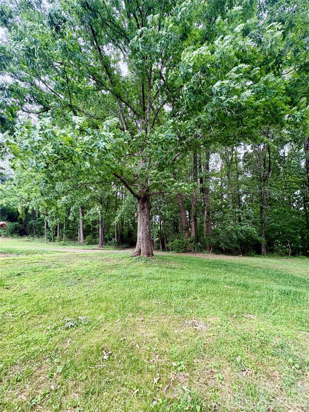 254 Beechwood Farm Road - Photo 12