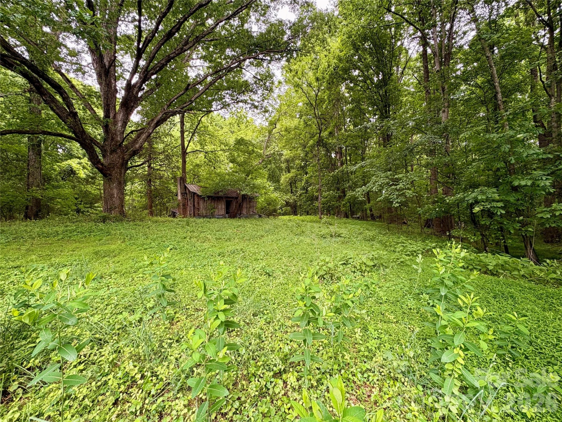 254 Beechwood Farm Road - Photo 14