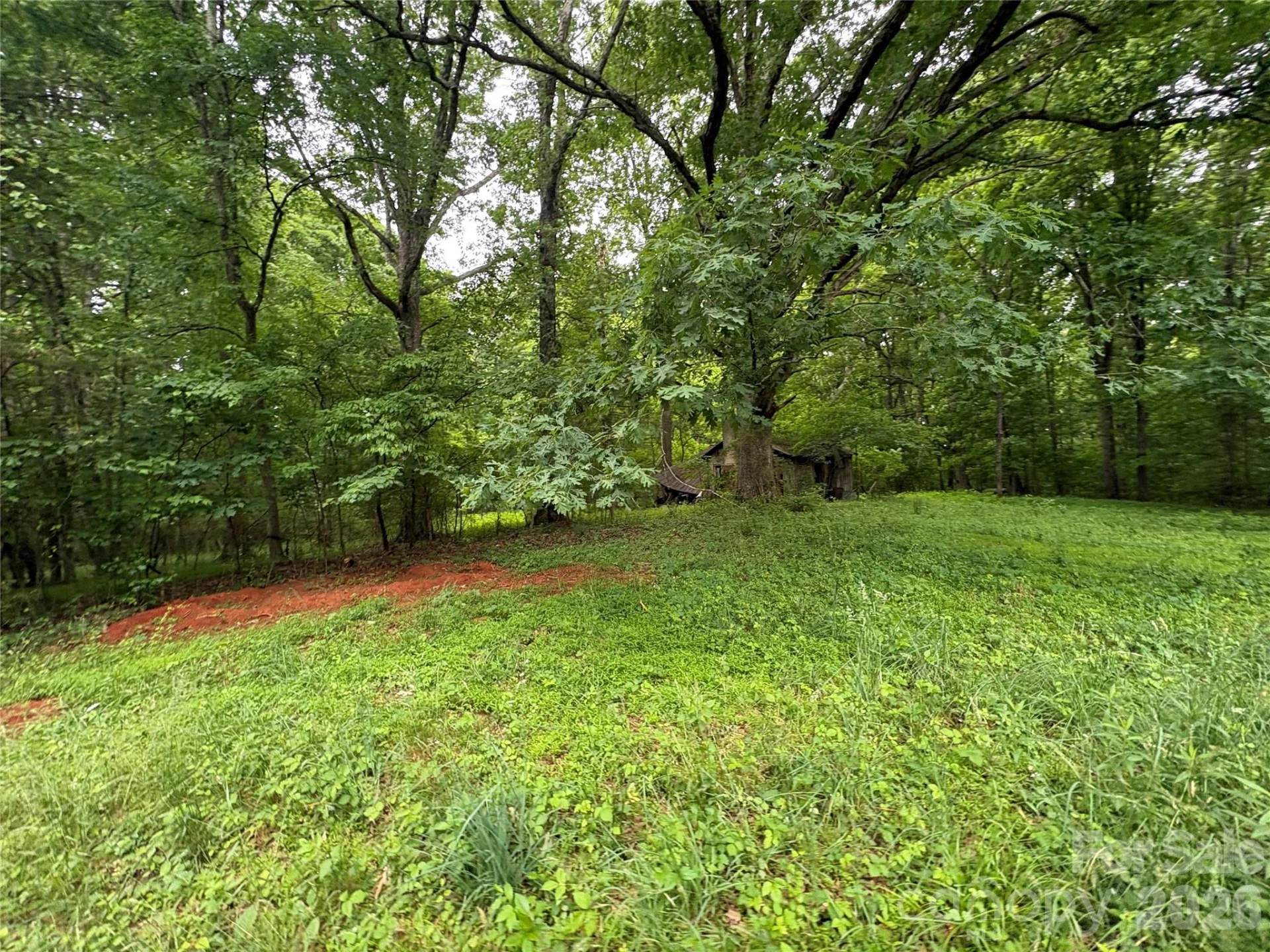 254 Beechwood Farm Road - Photo 15