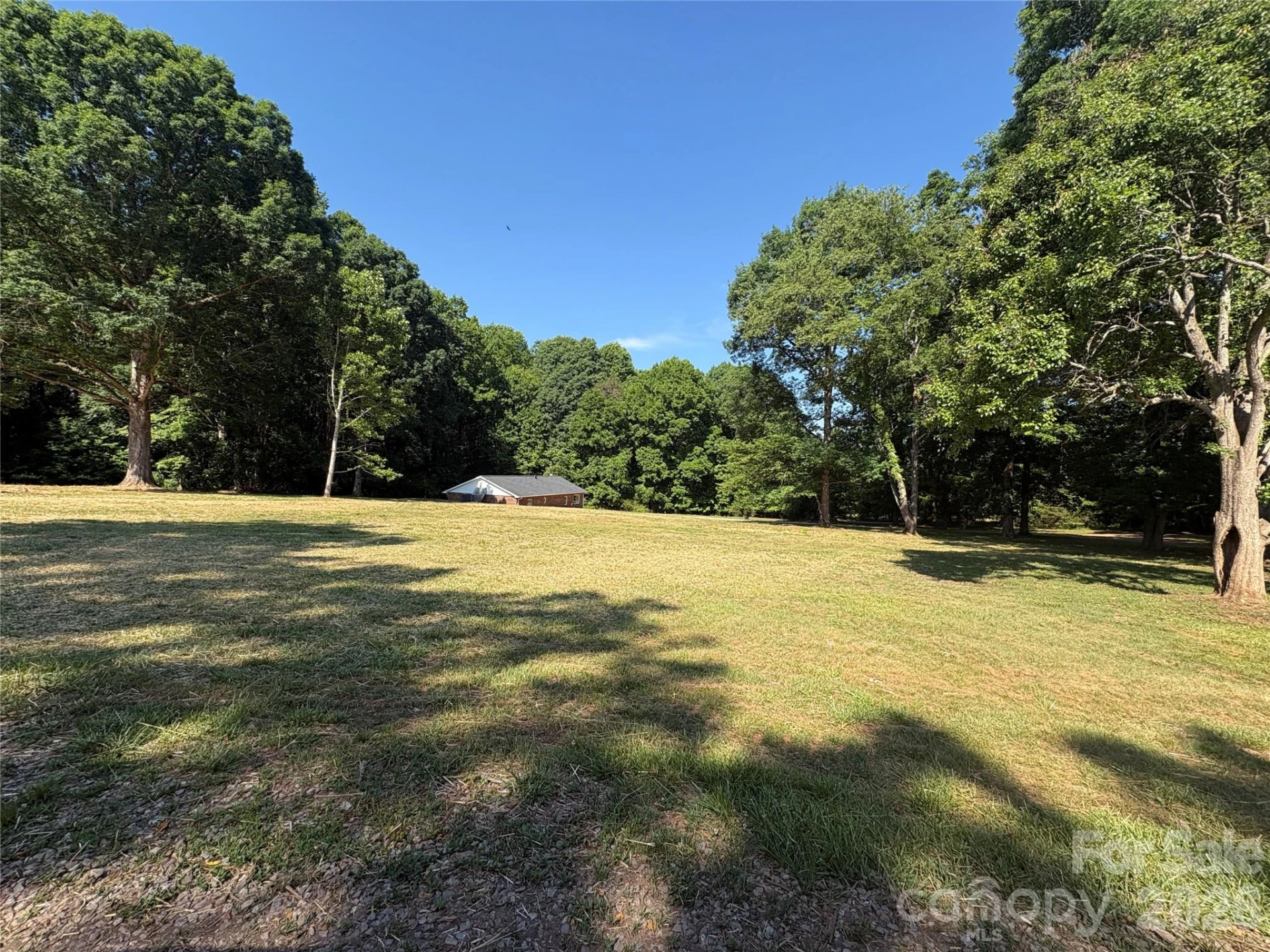 254 Beechwood Farm Road - Photo 8