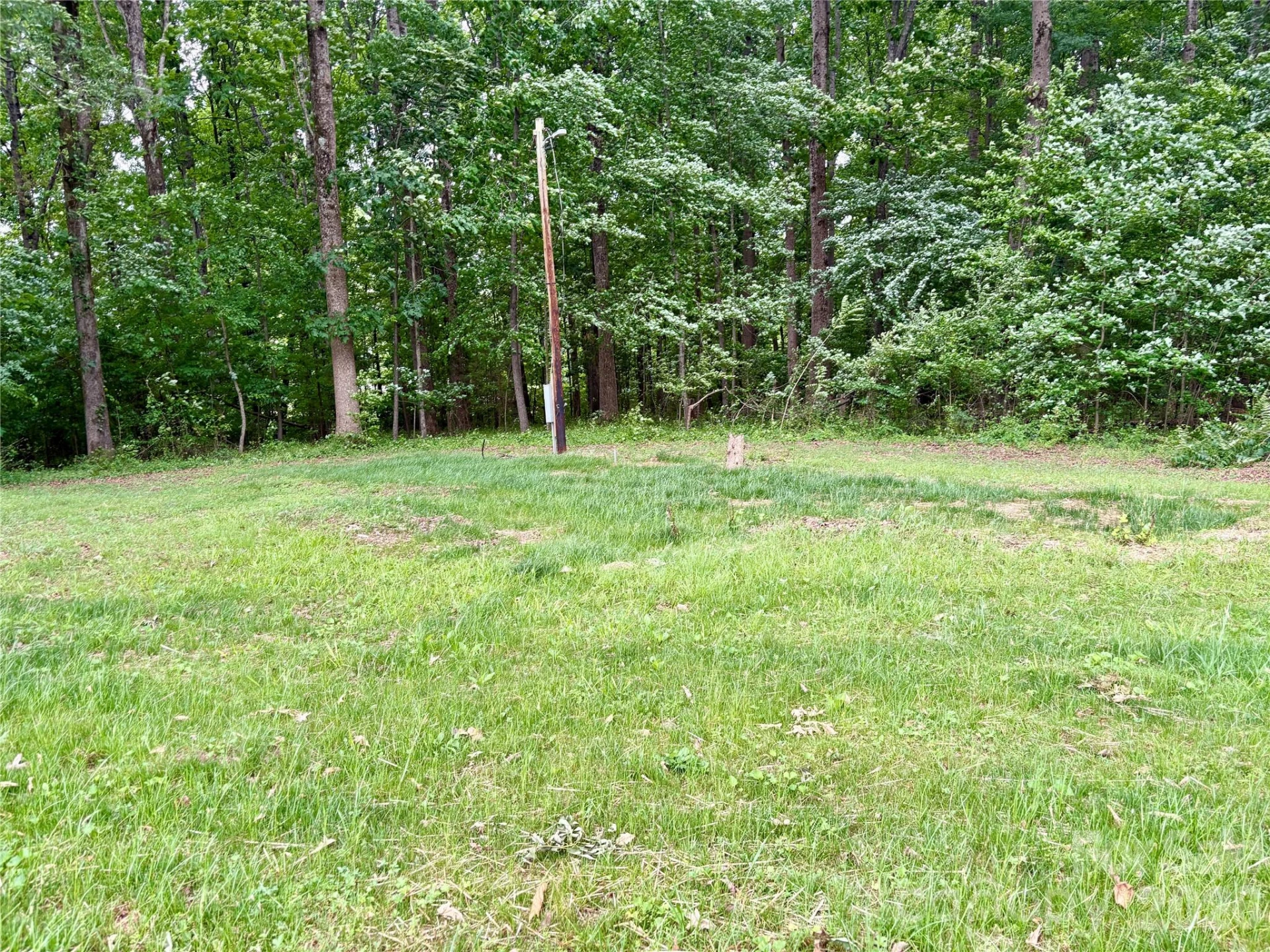 254 Beechwood Farm Road - Photo 9