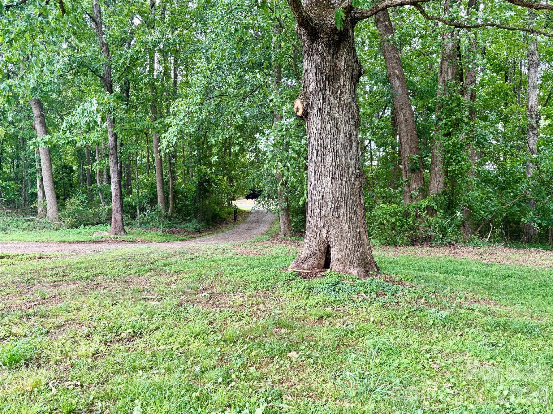 254 Beechwood Farm Road - Photo 10