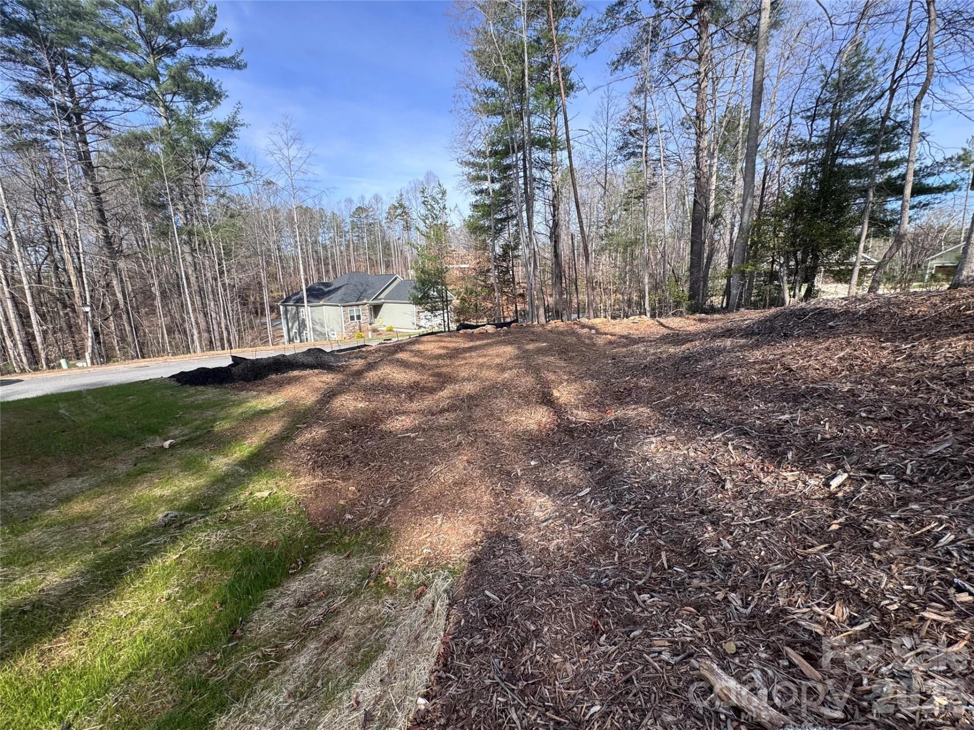 403 Scarlett Oak Court - Photo 3