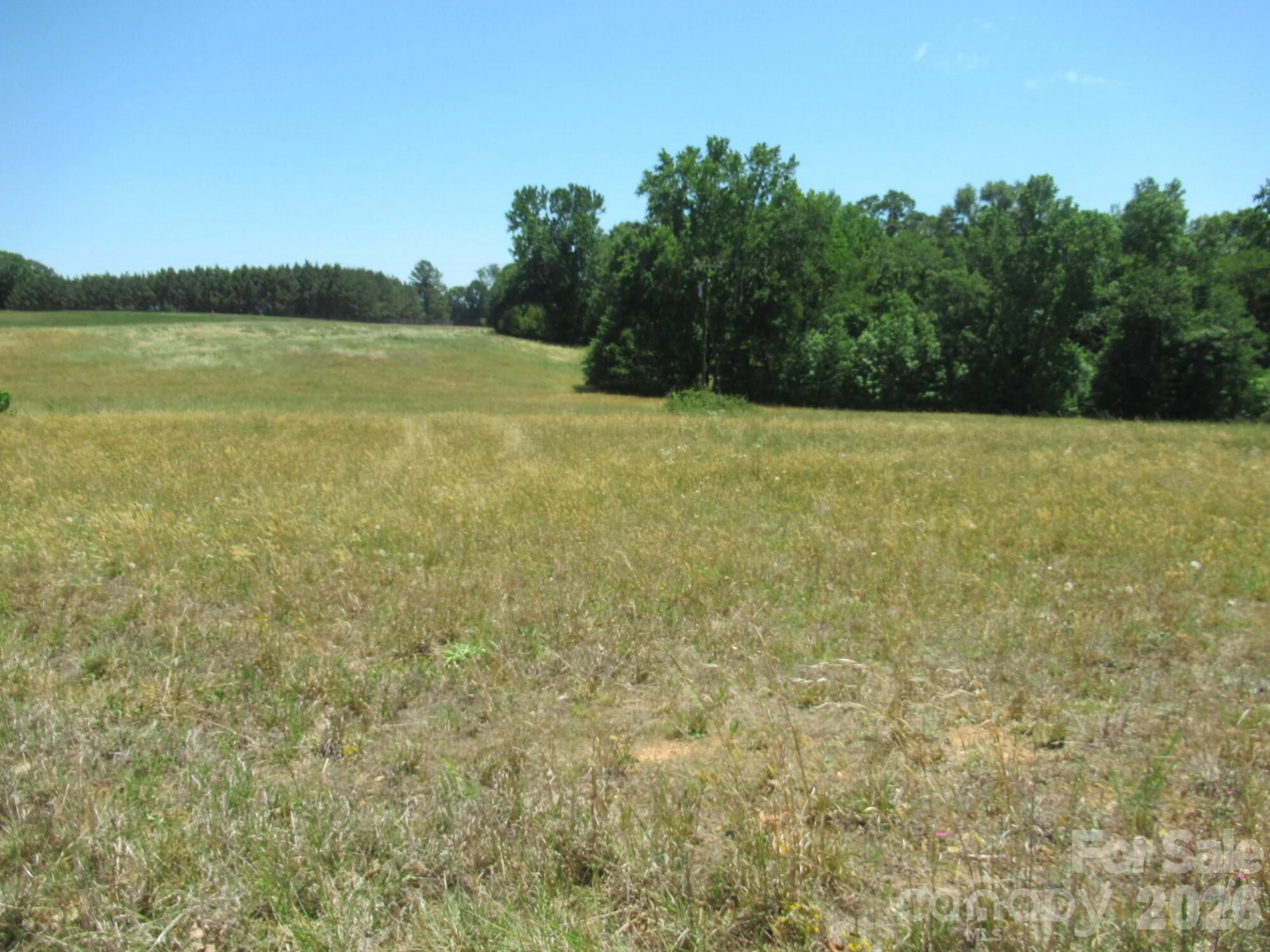 00 Dave Heafner Road - Photo 2