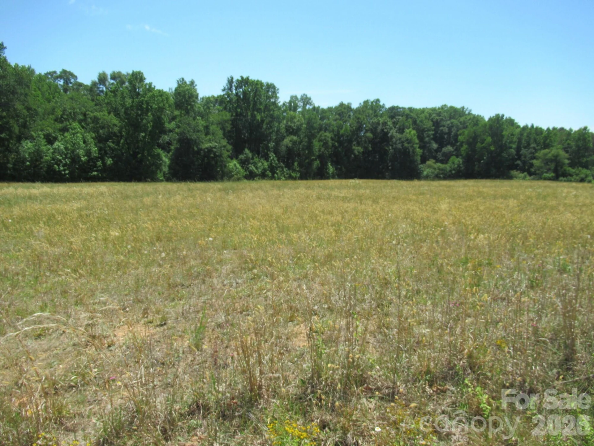 00 Dave Heafner Road - Photo 3