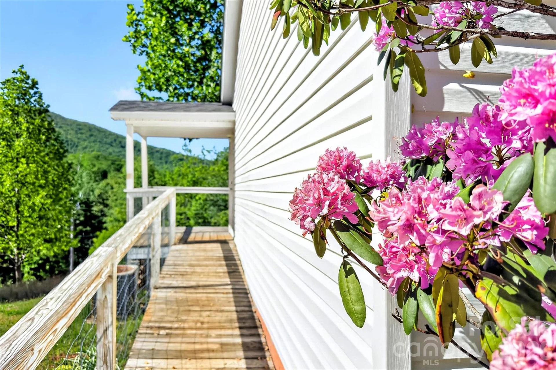 298 Wolf Crossing - Photo 3