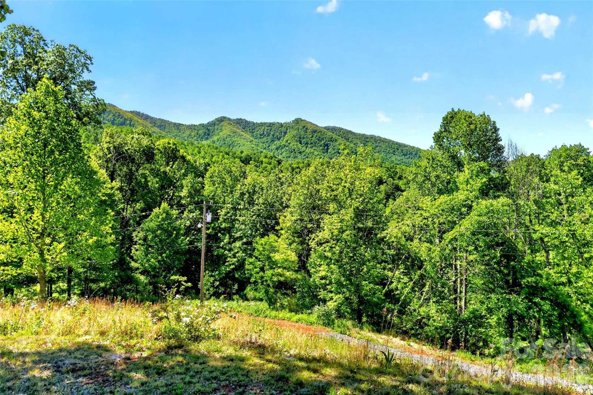 298 Wolf Crossing - Photo 41