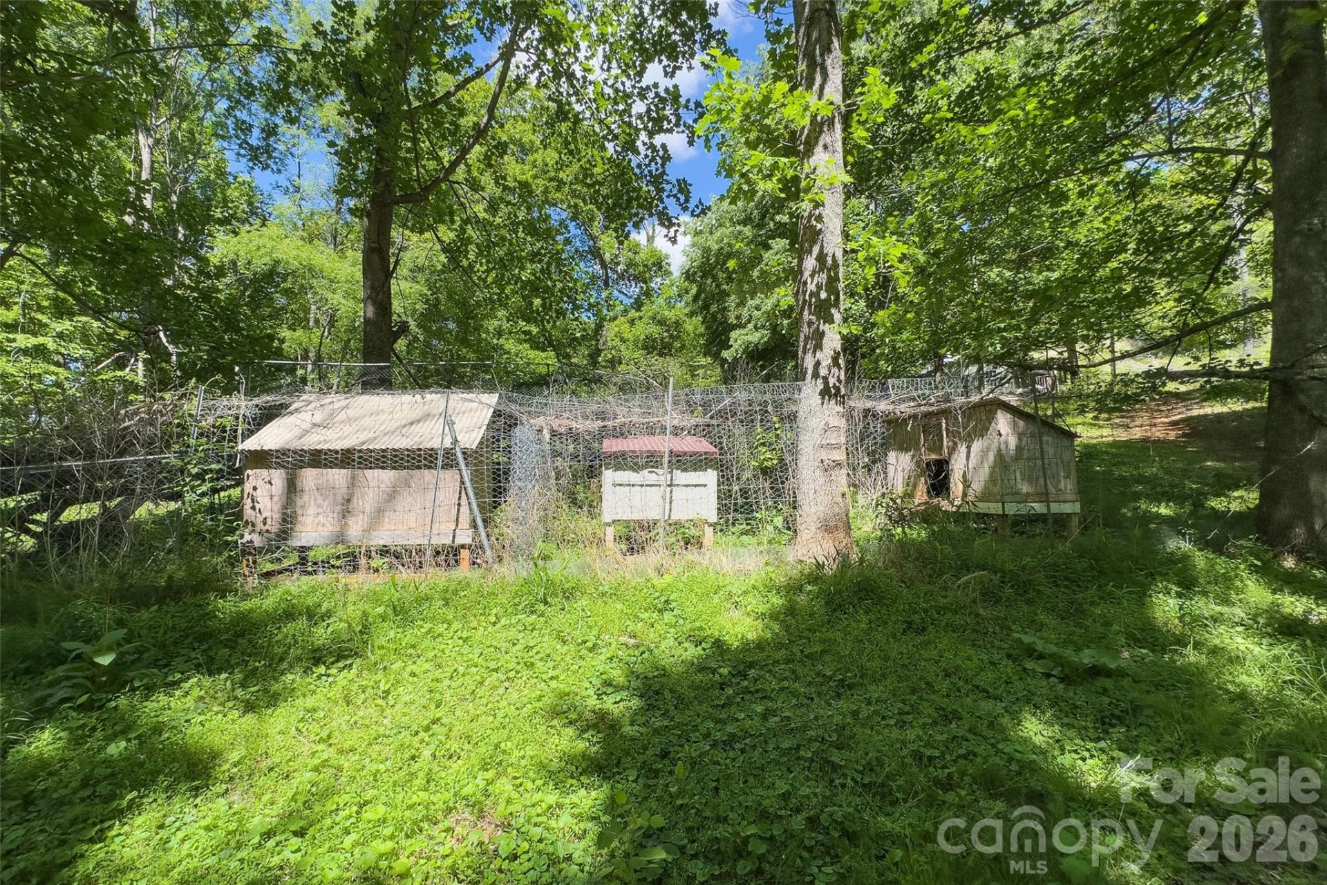 298 Wolf Crossing - Photo 43