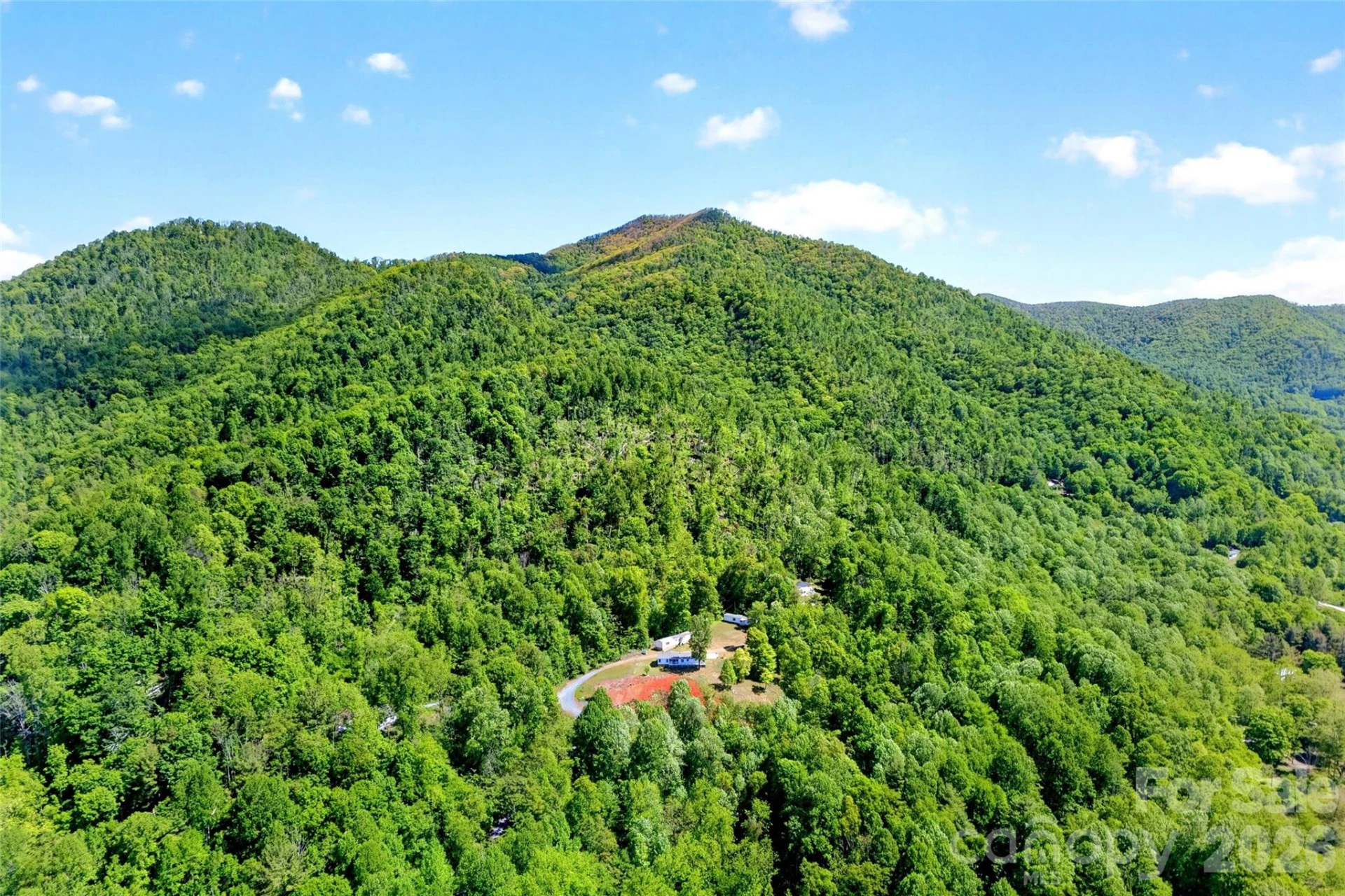 298 Wolf Crossing - Photo 46