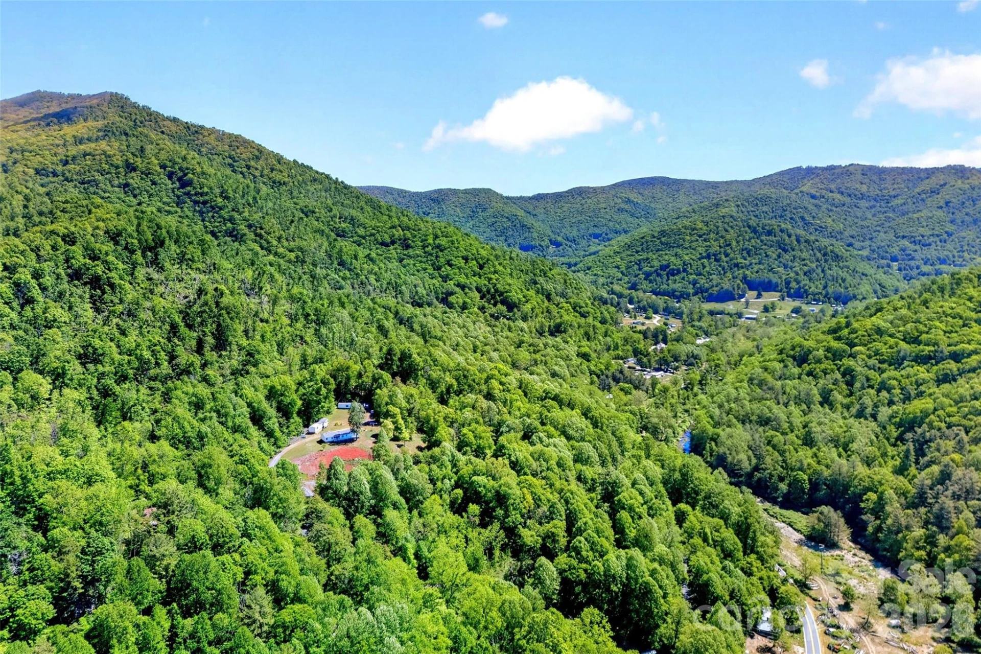 298 Wolf Crossing - Photo 47