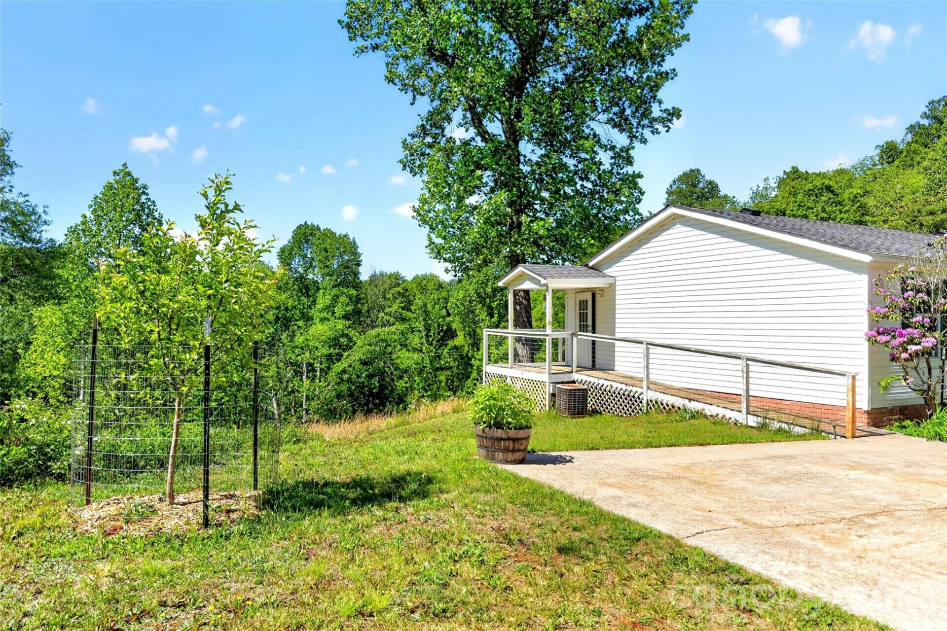 298 Wolf Crossing - Photo 7