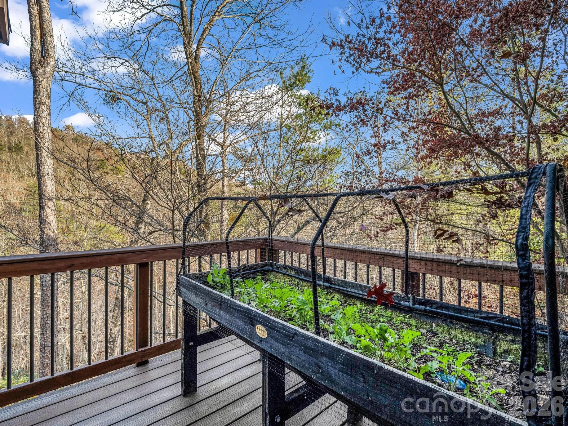 301 Peaks Drive - Photo 33