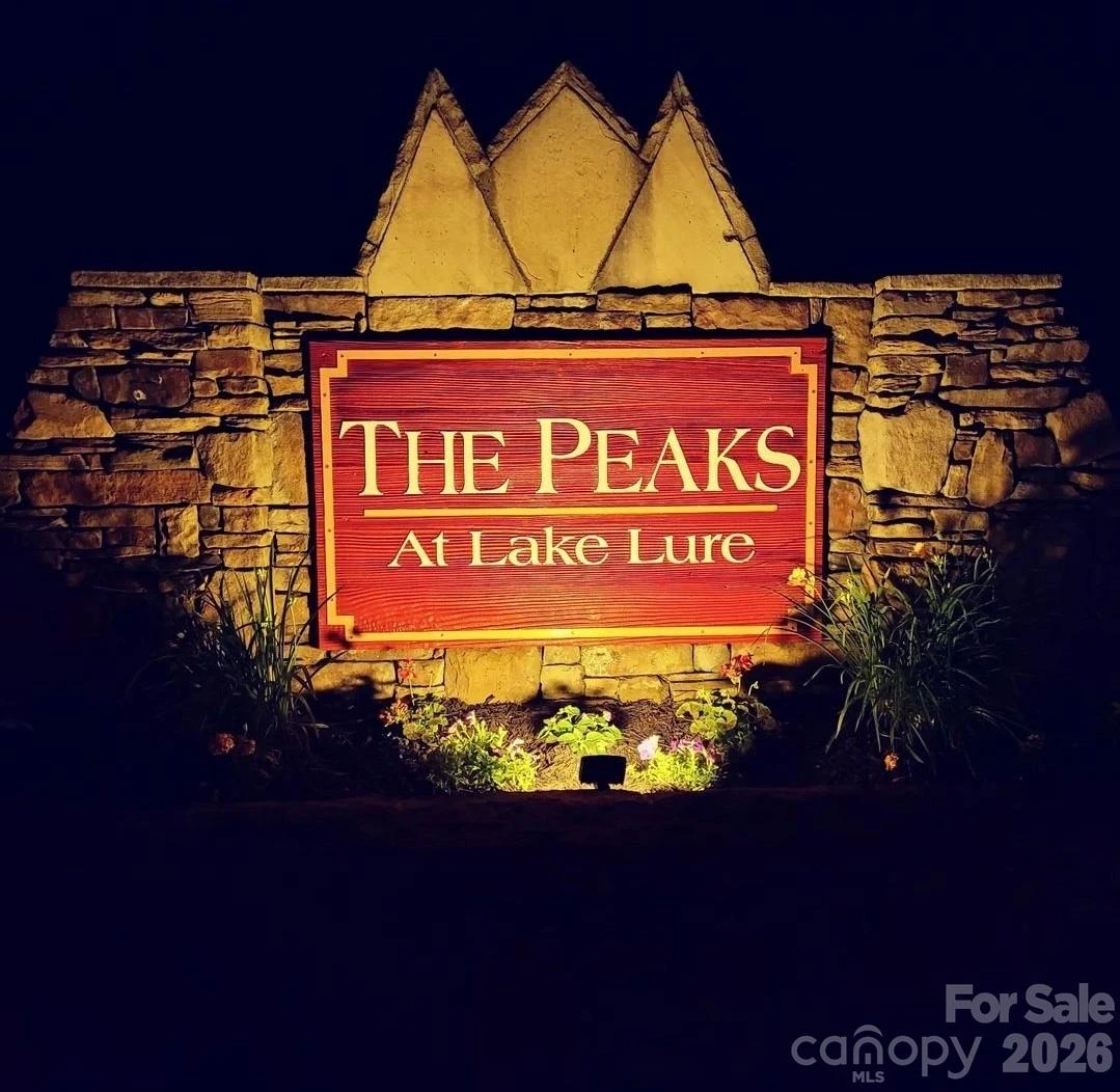 301 Peaks Drive - Photo 5