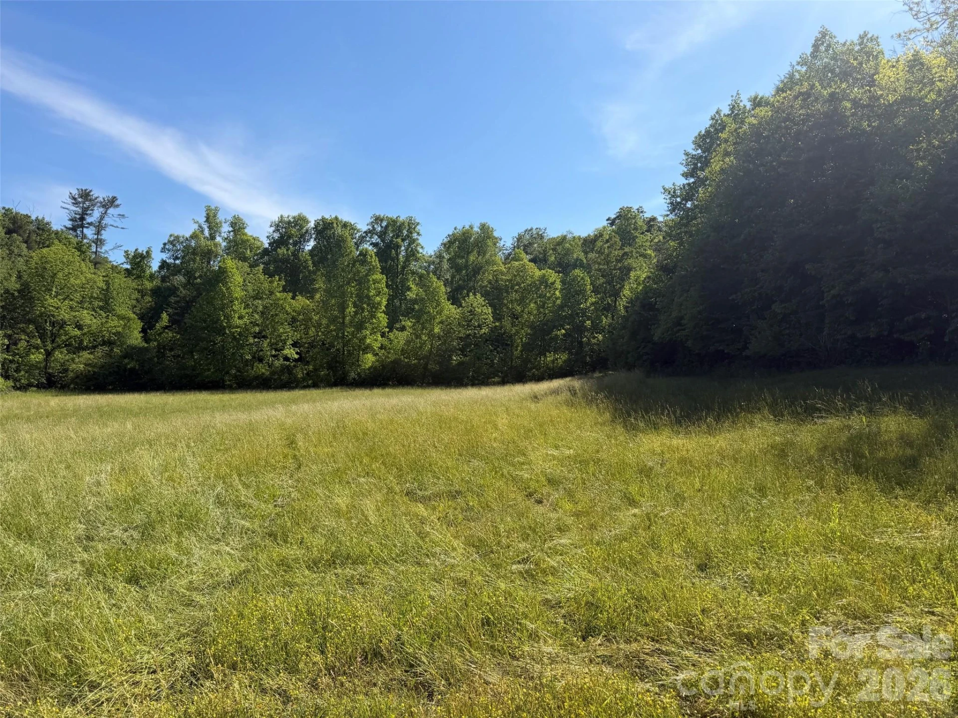 000 Parker Padgett Road - Photo 2