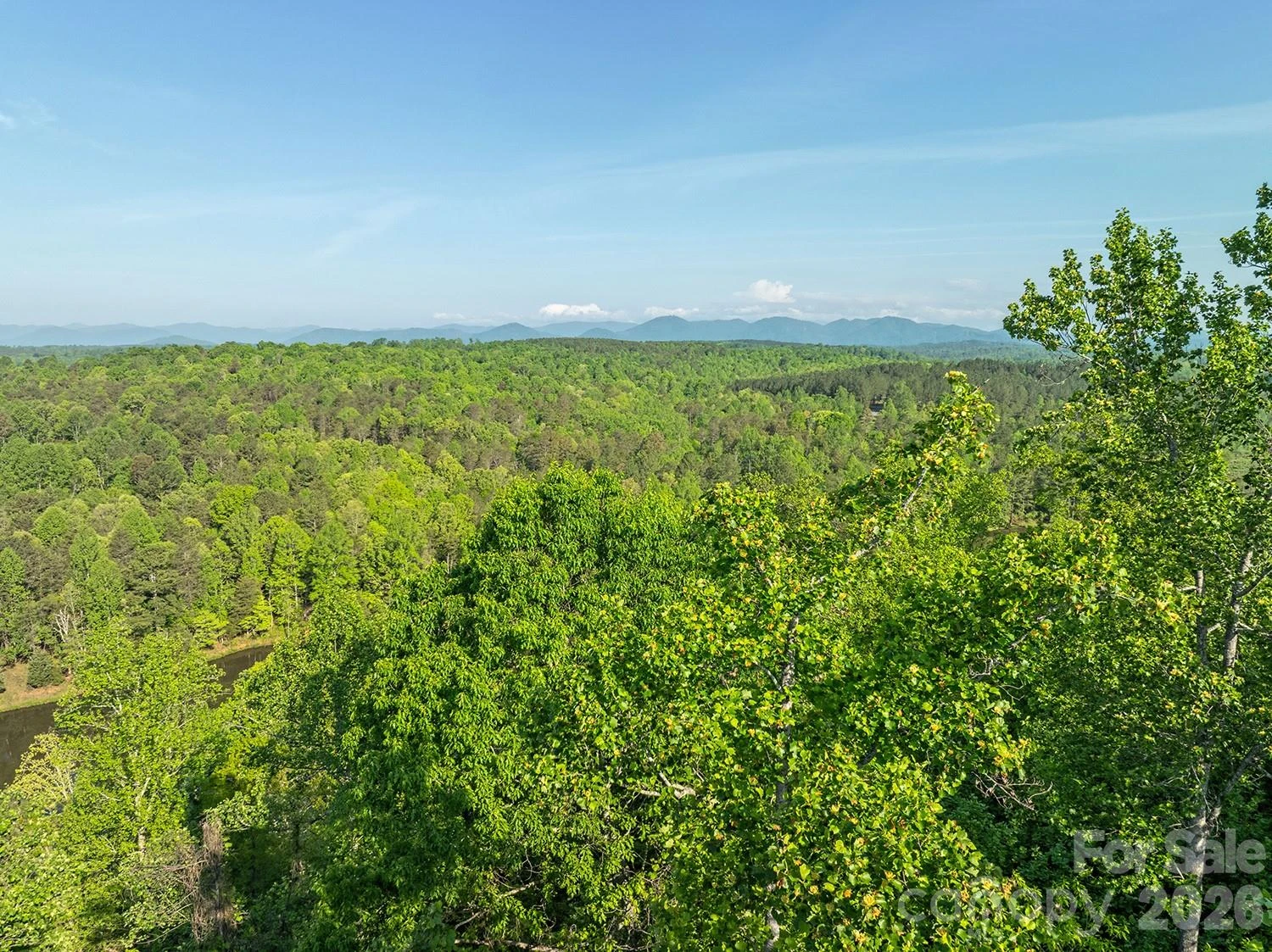5555 Groves Road - Photo 6