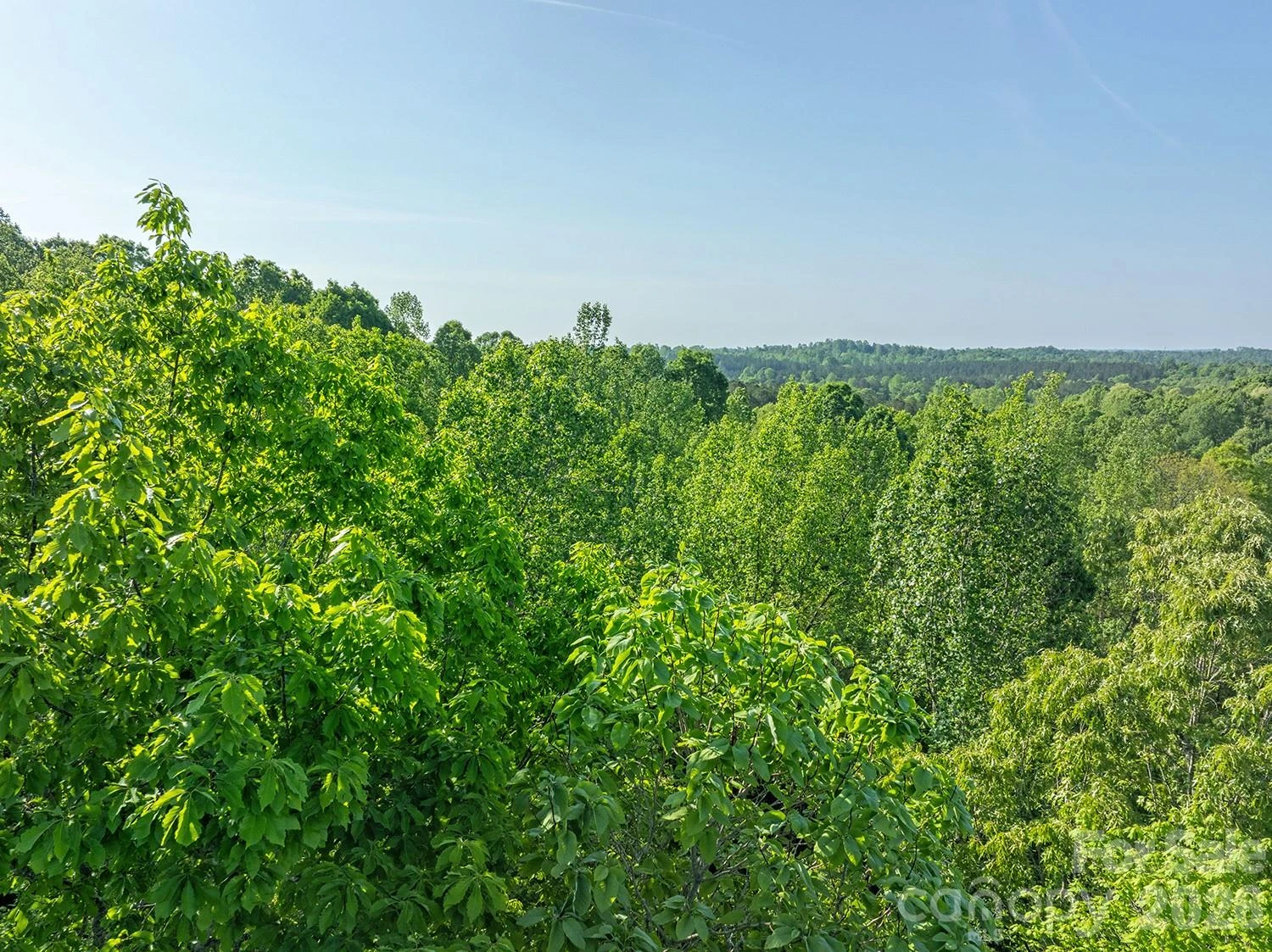 5555 Groves Road - Photo 21