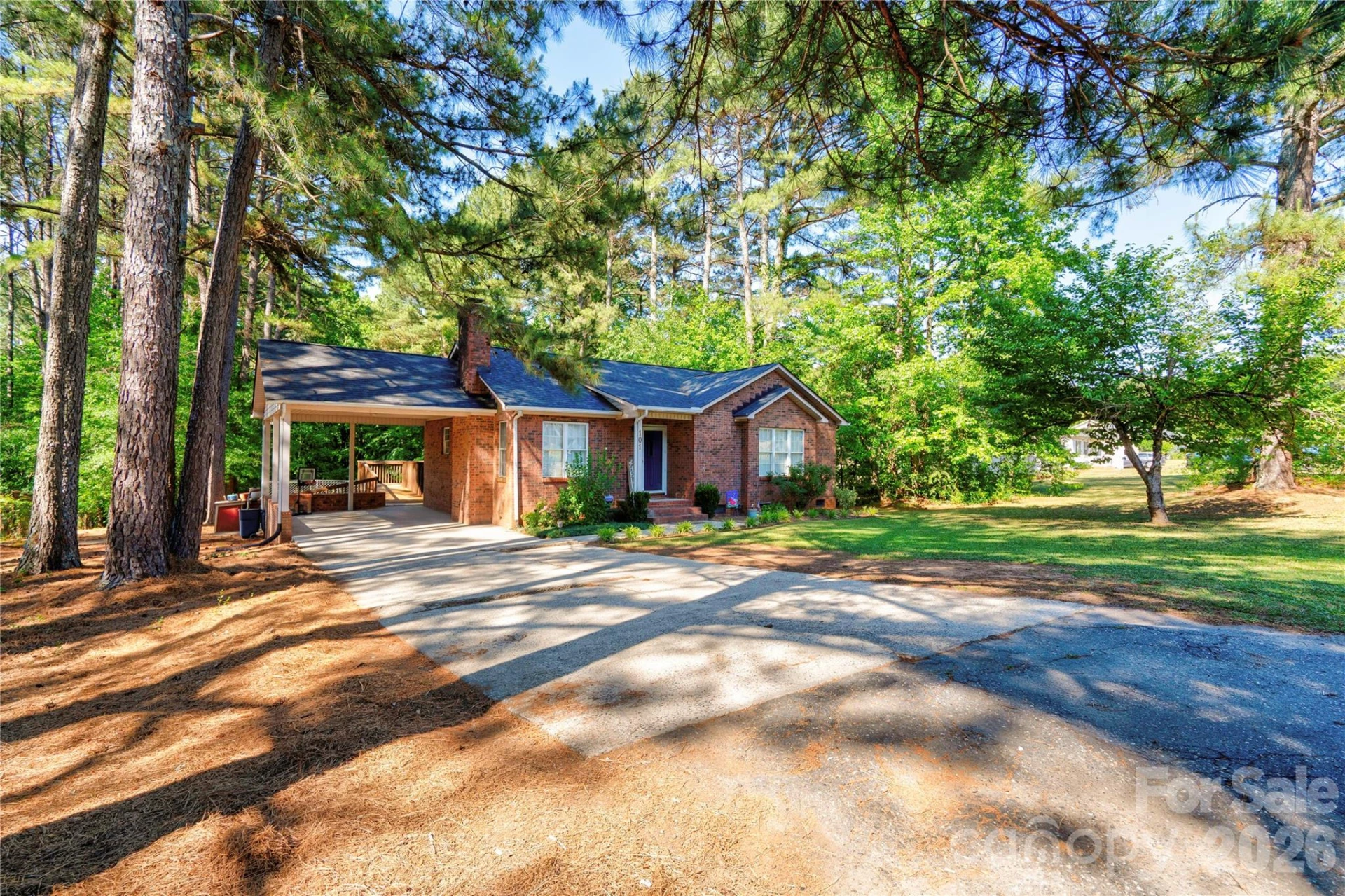 101 Doree Lane - Photo 2