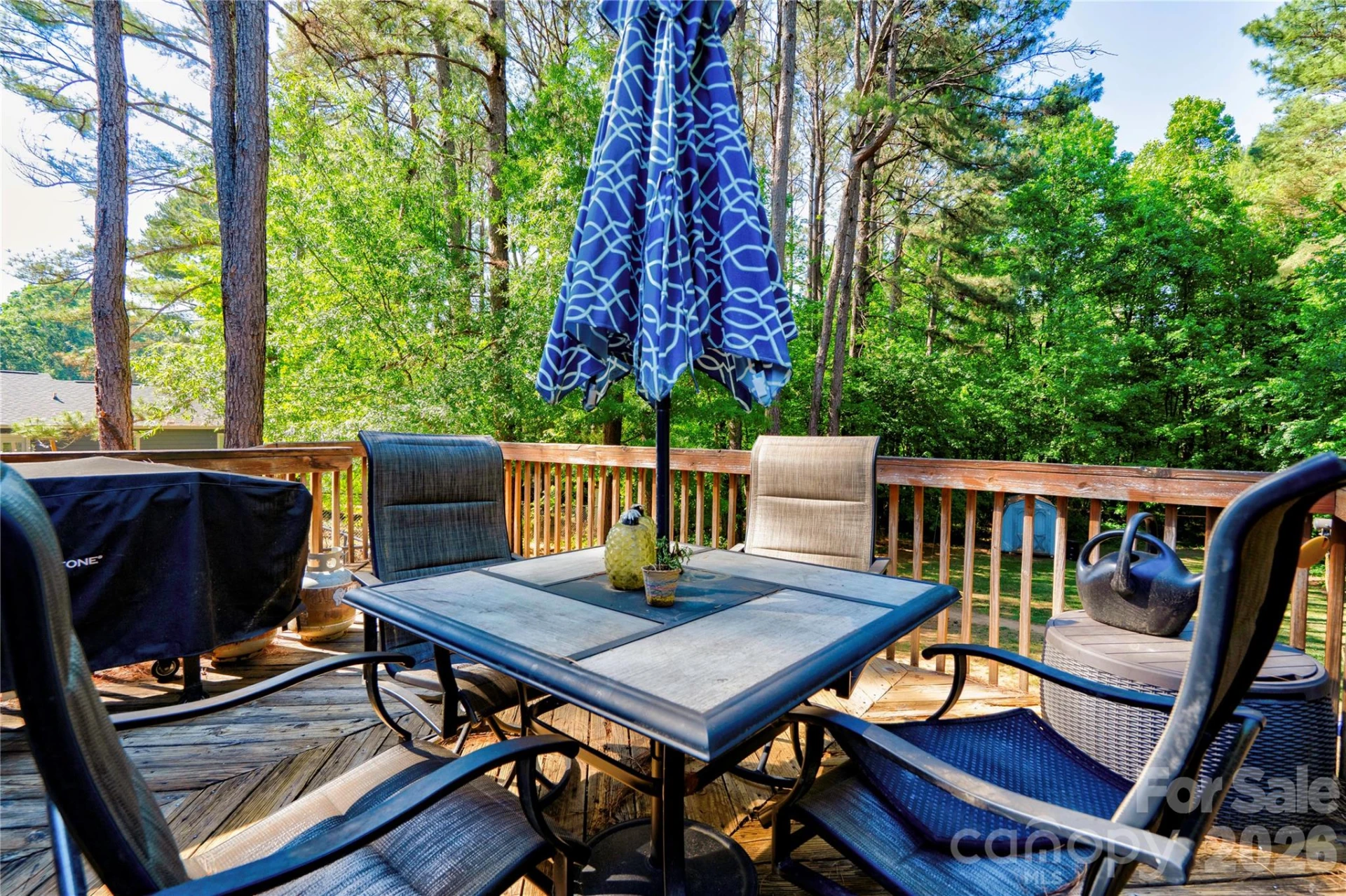 101 Doree Lane - Photo 30
