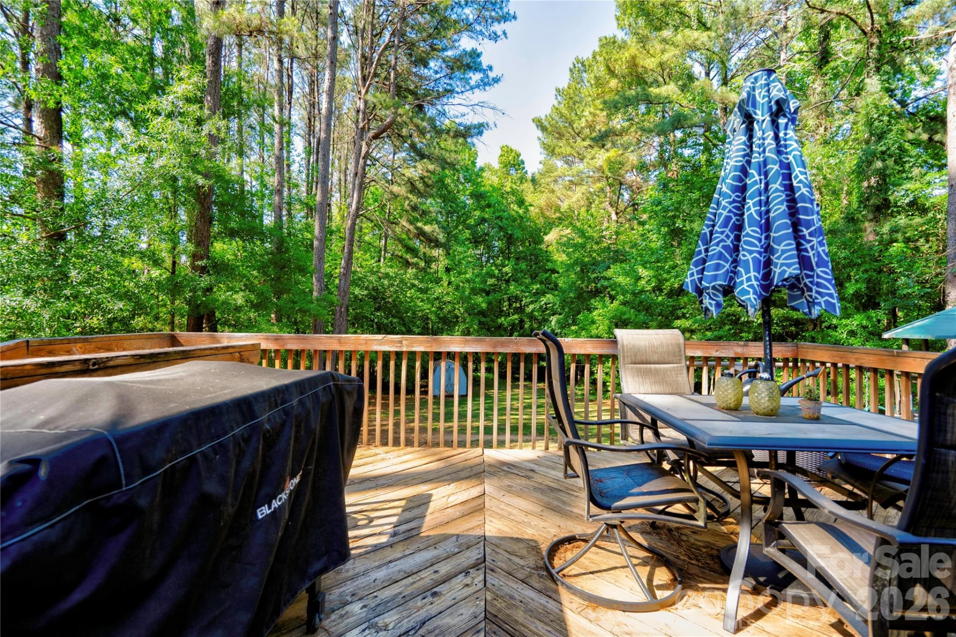 101 Doree Lane - Photo 31