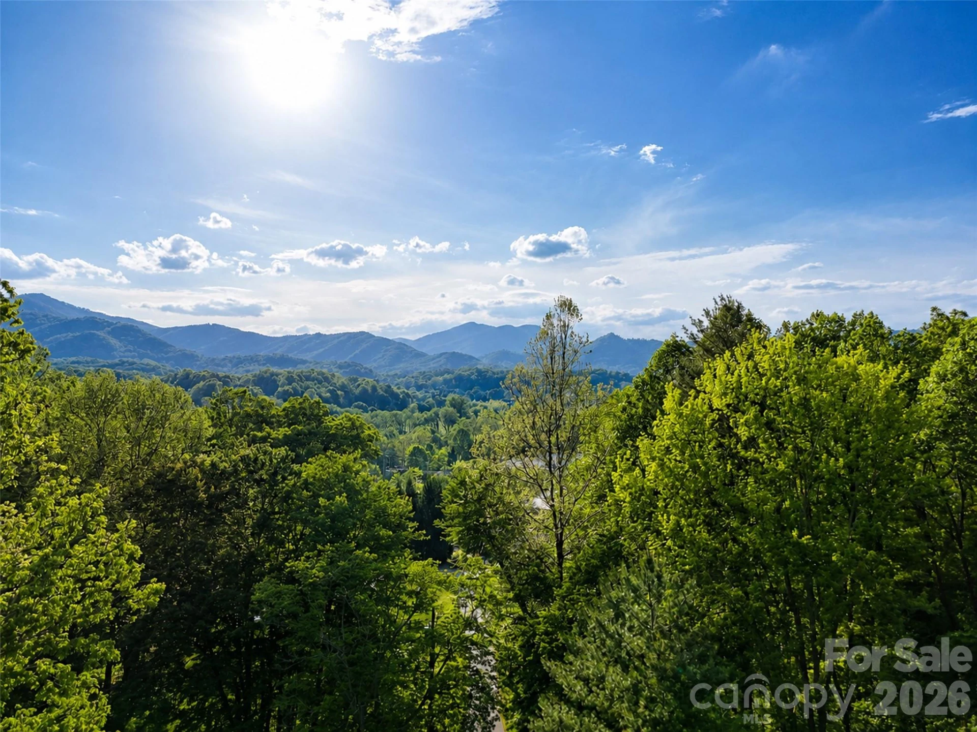 00 Junaluska Oaks Drive - Photo 9