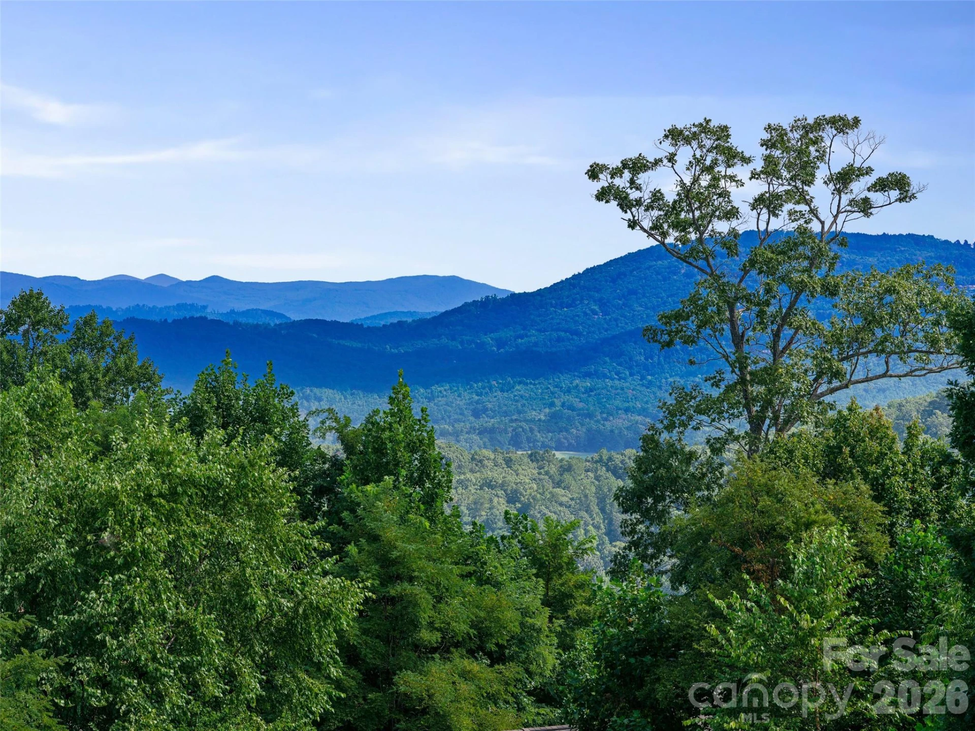 225 Coachman Drive - Photo 15