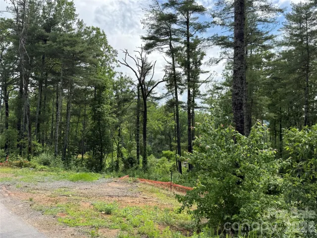 173 Cascade Ridge Road
