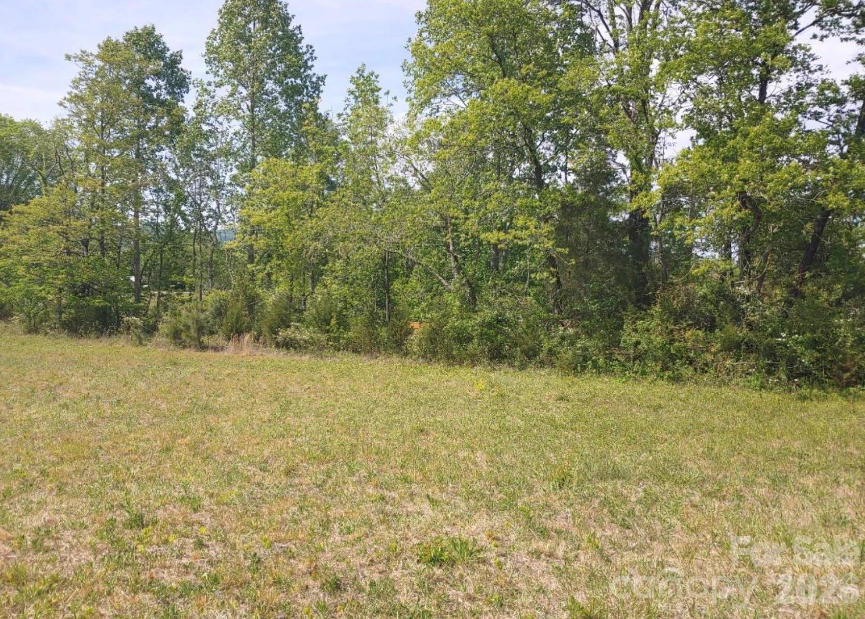 Off Landis Lane - Photo 4
