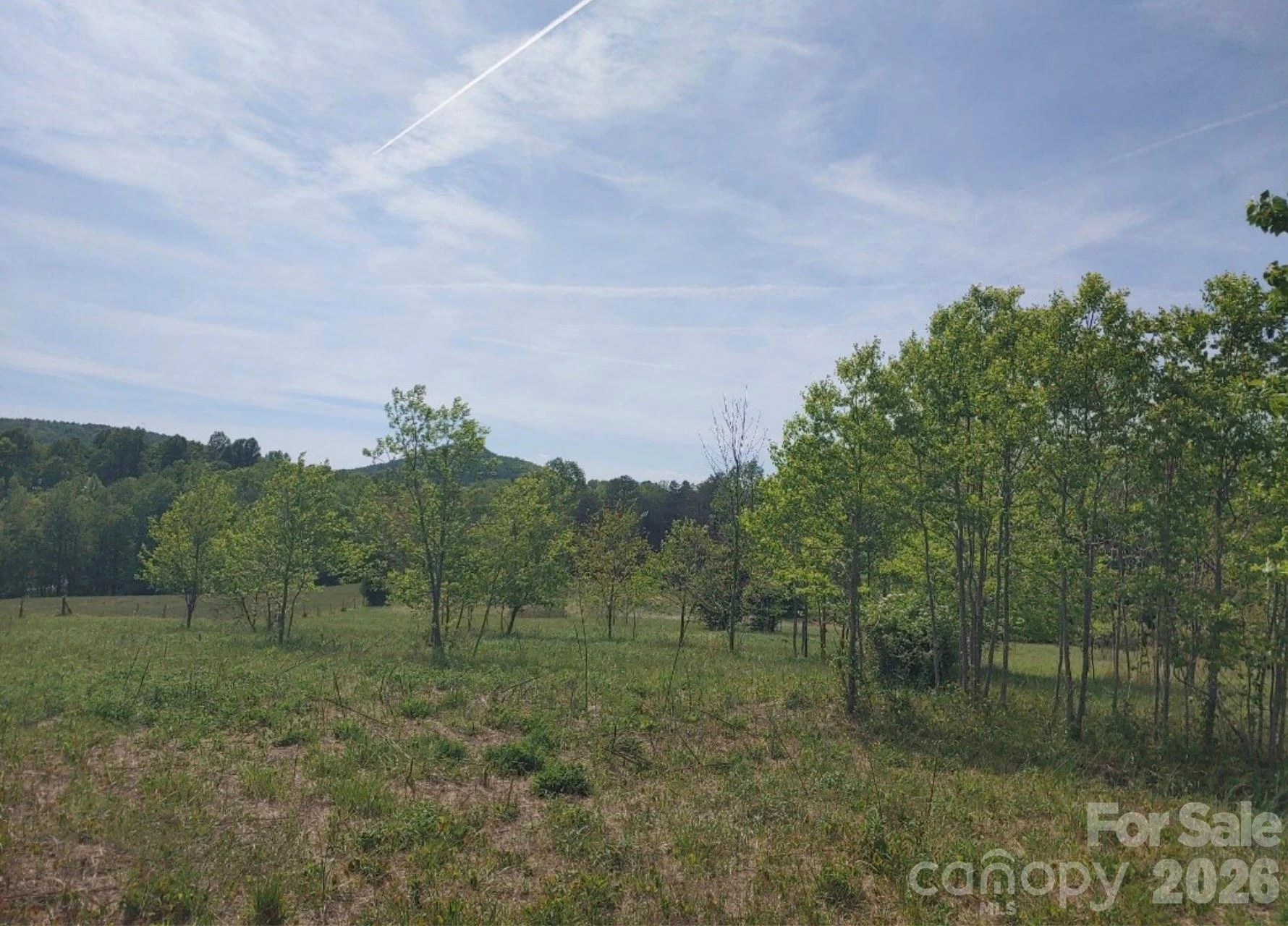 Off Landis Lane - Photo 6