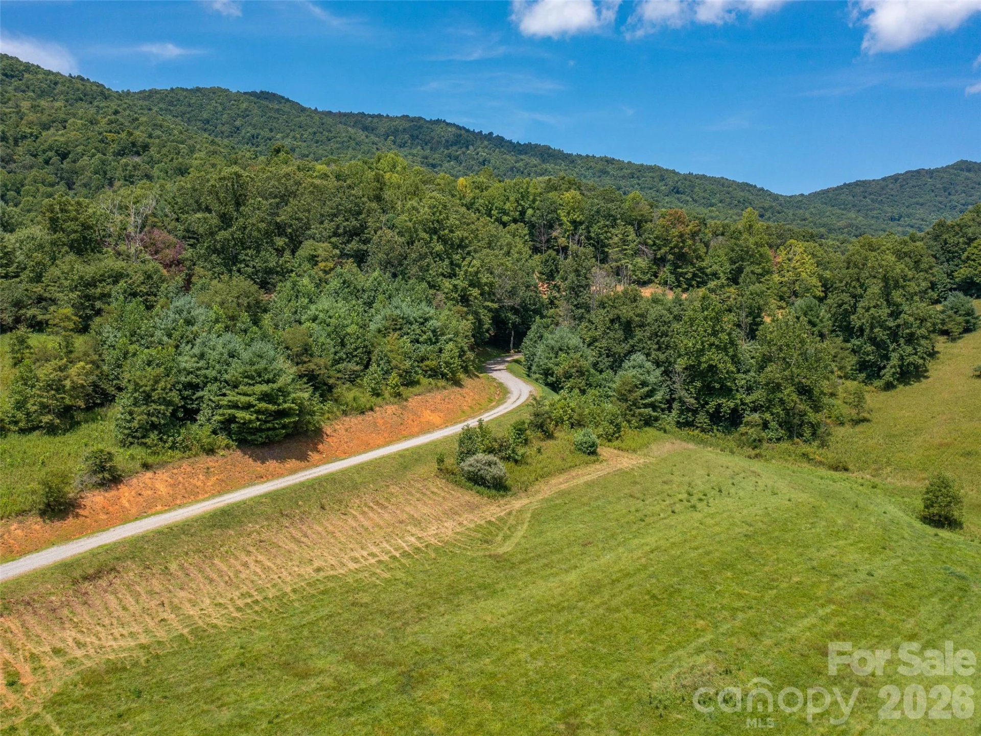 000 Locust Rough Mountain Road #Lots 5 & 6 - Photo 4