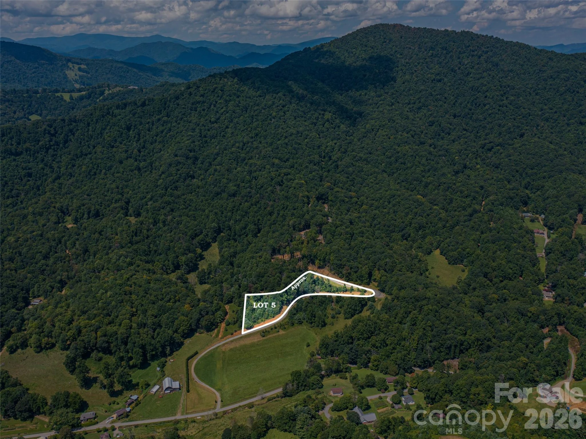 000 Locust Rough Mountain Road #Lots 5 & 6 - Photo 6