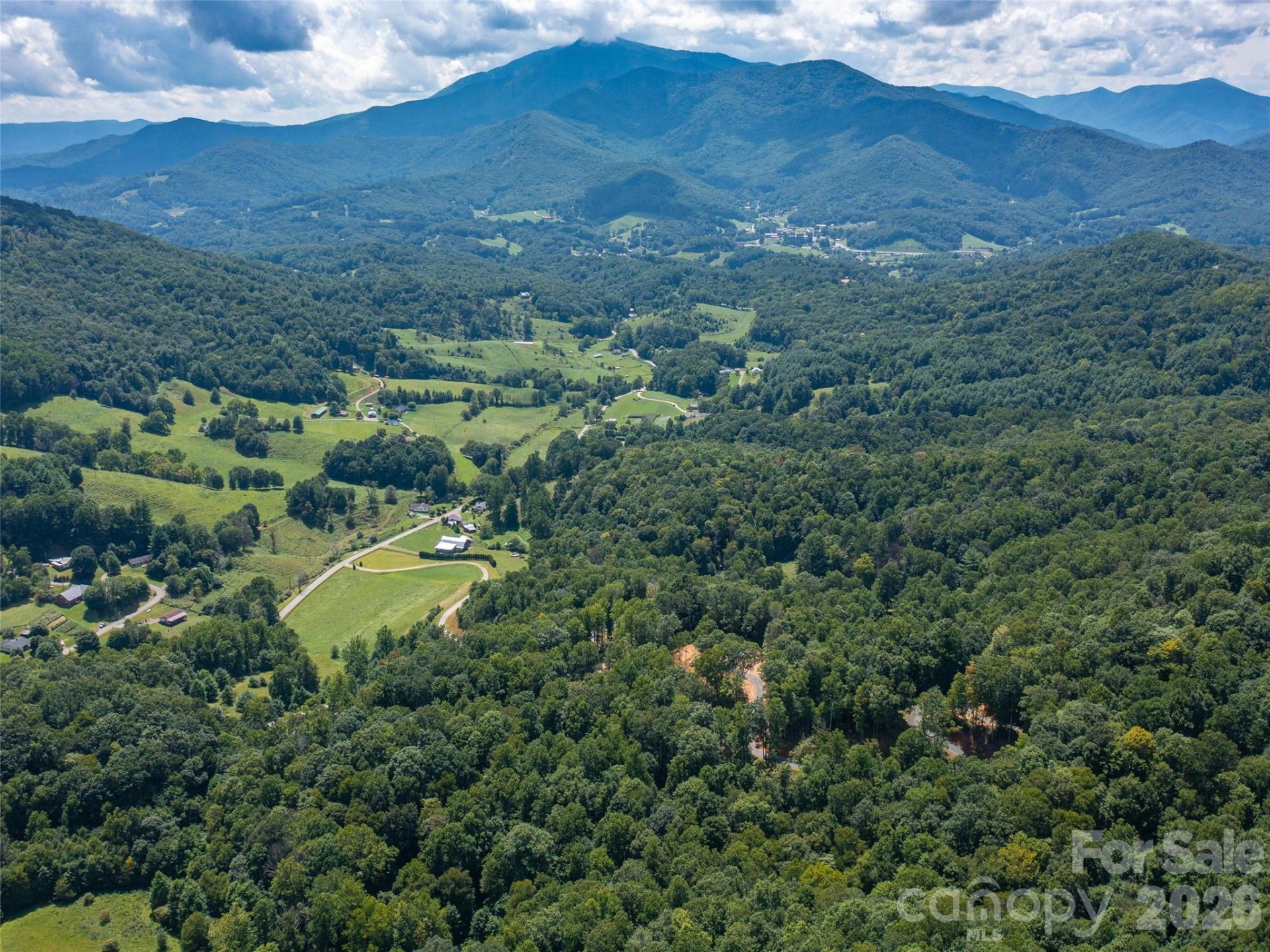 000 Locust Rough Mountain Road #Lots 5 & 6 - Photo 7