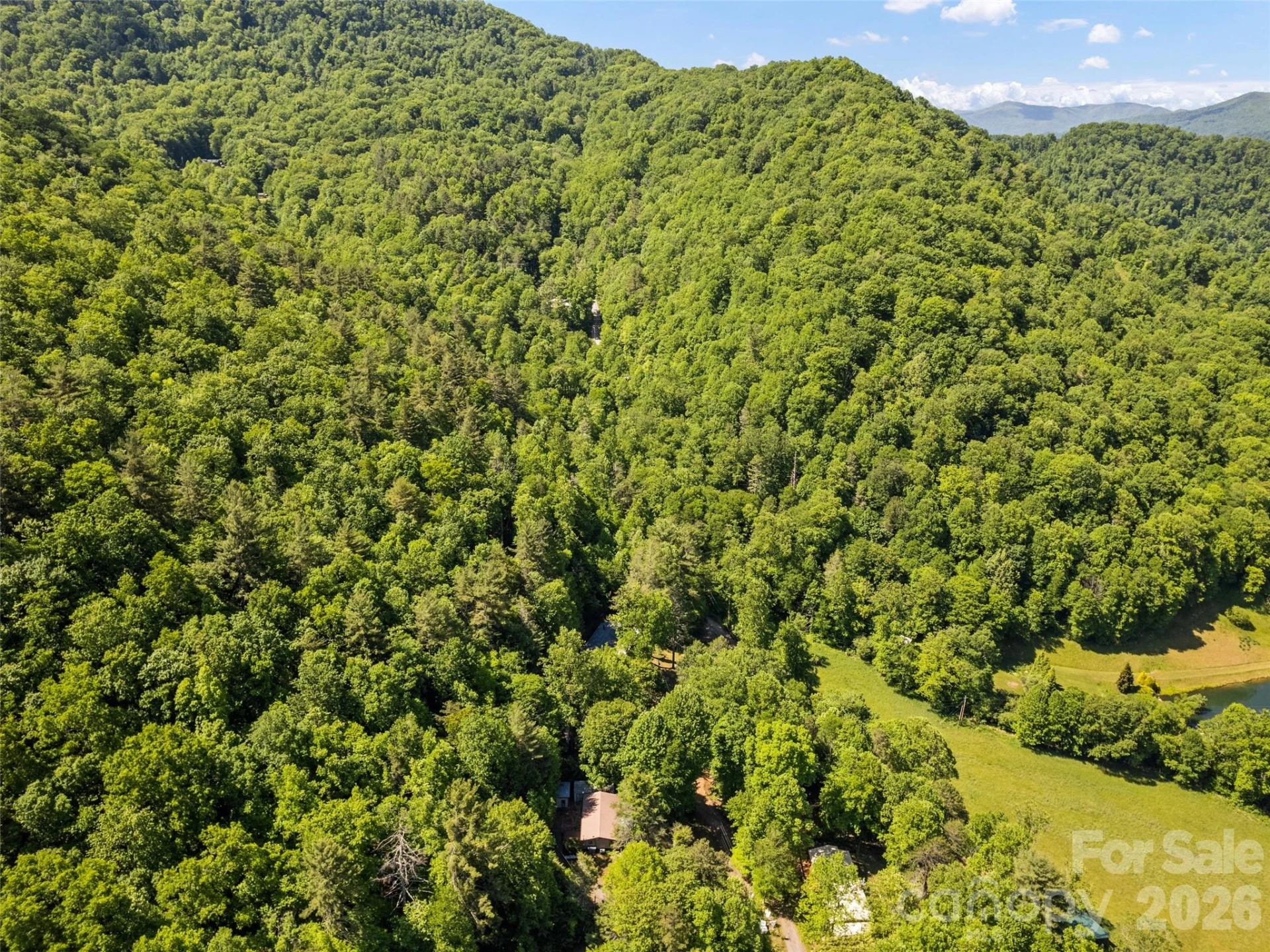 102 Serenity Lane - Photo 11
