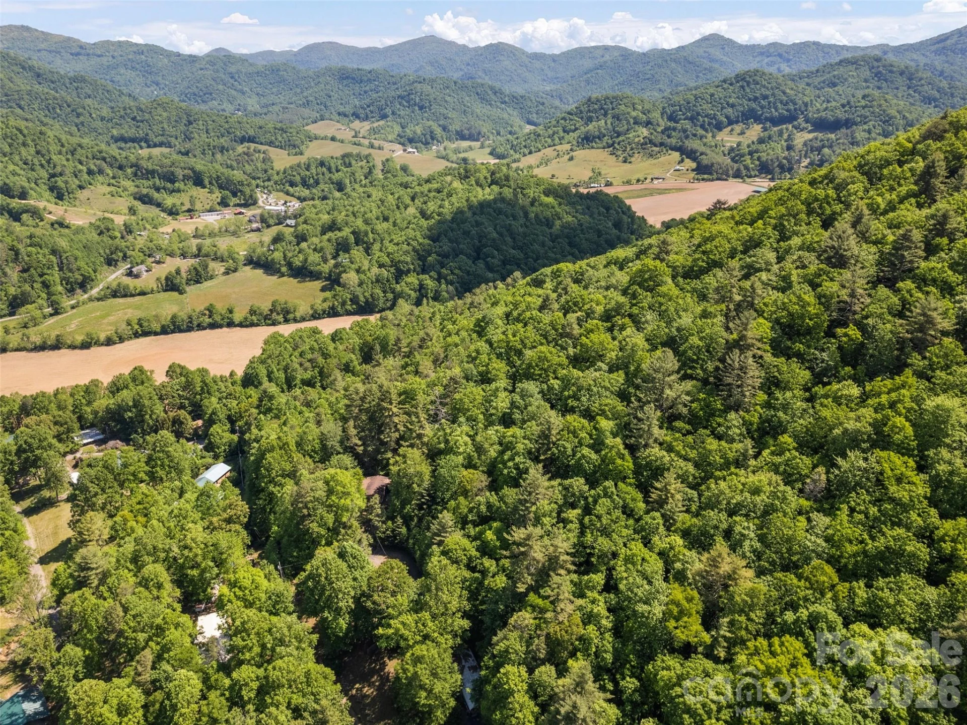 102 Serenity Lane - Photo 8