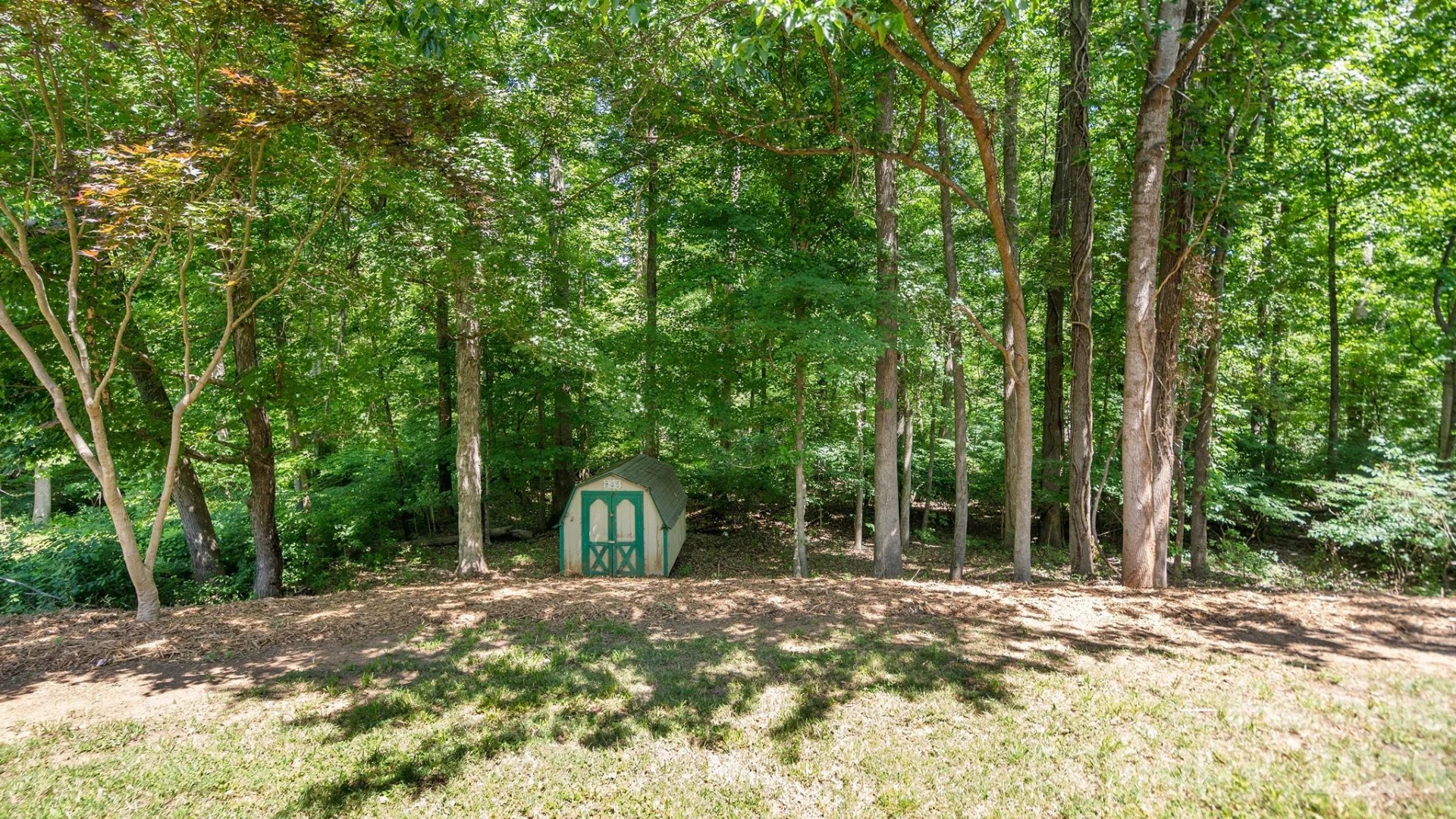 8815 Burnt Umber Drive - Photo 29