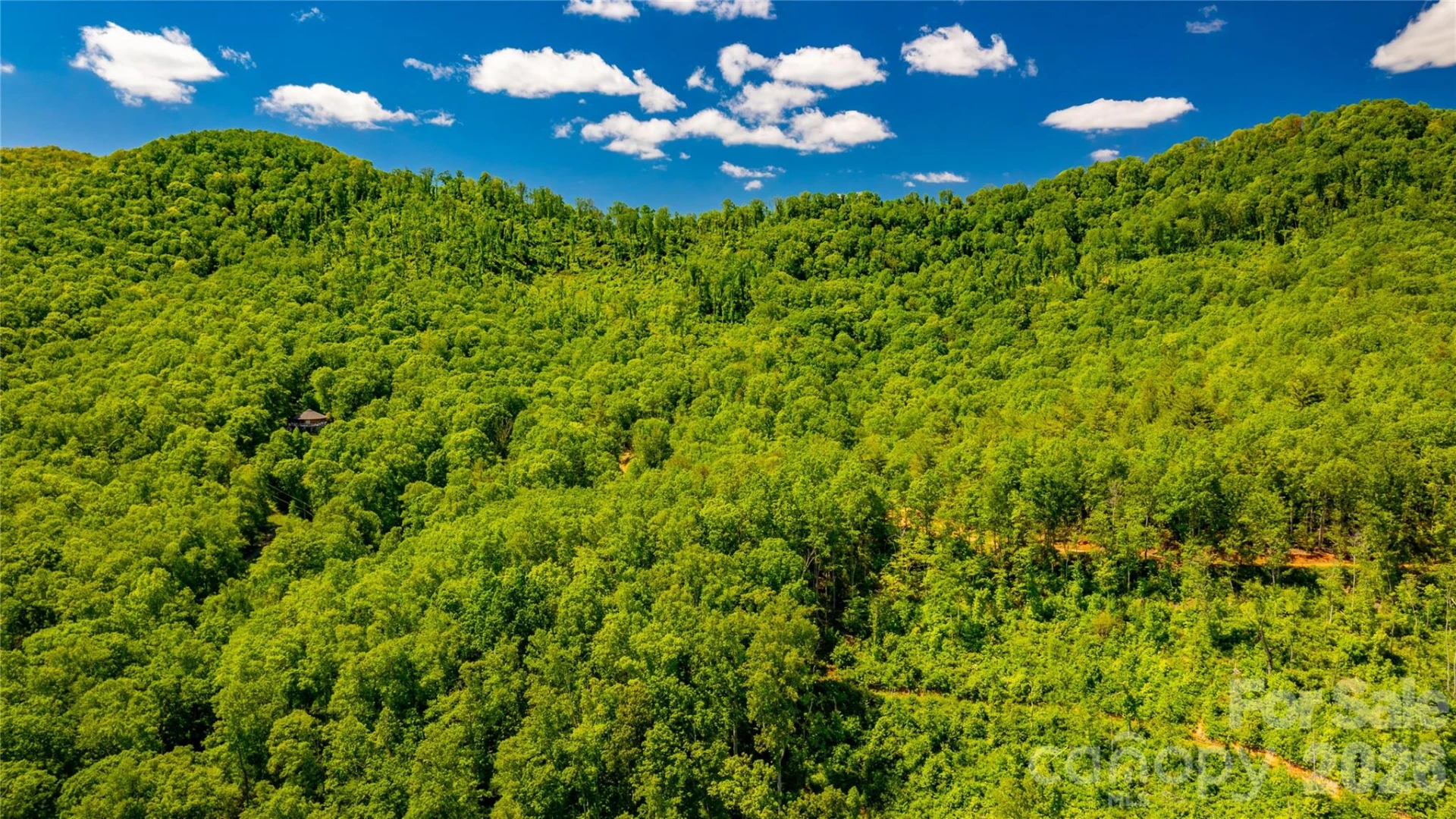 214 Ballard Creek Road - Photo 11