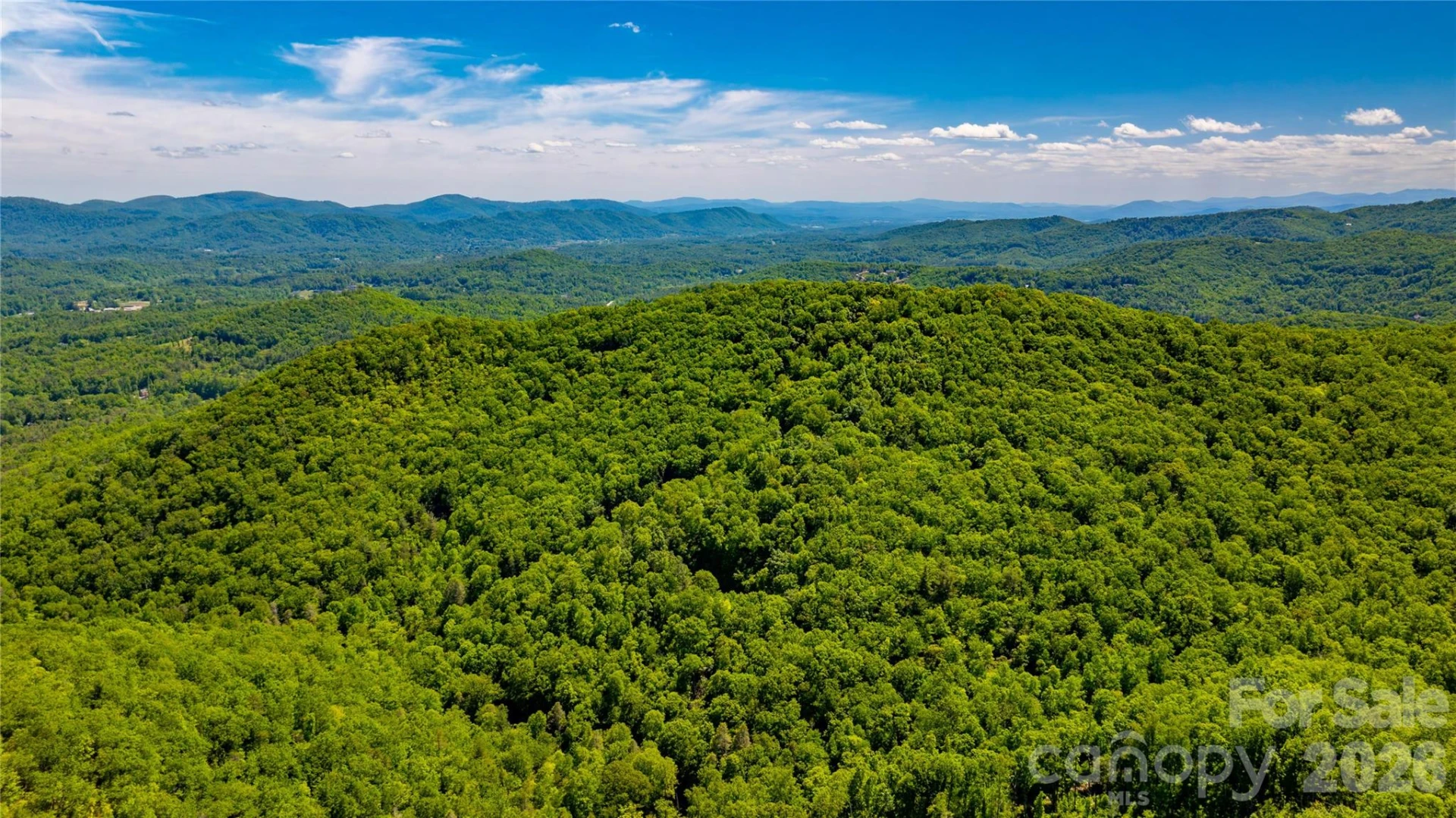 214 Ballard Creek Road - Photo 12