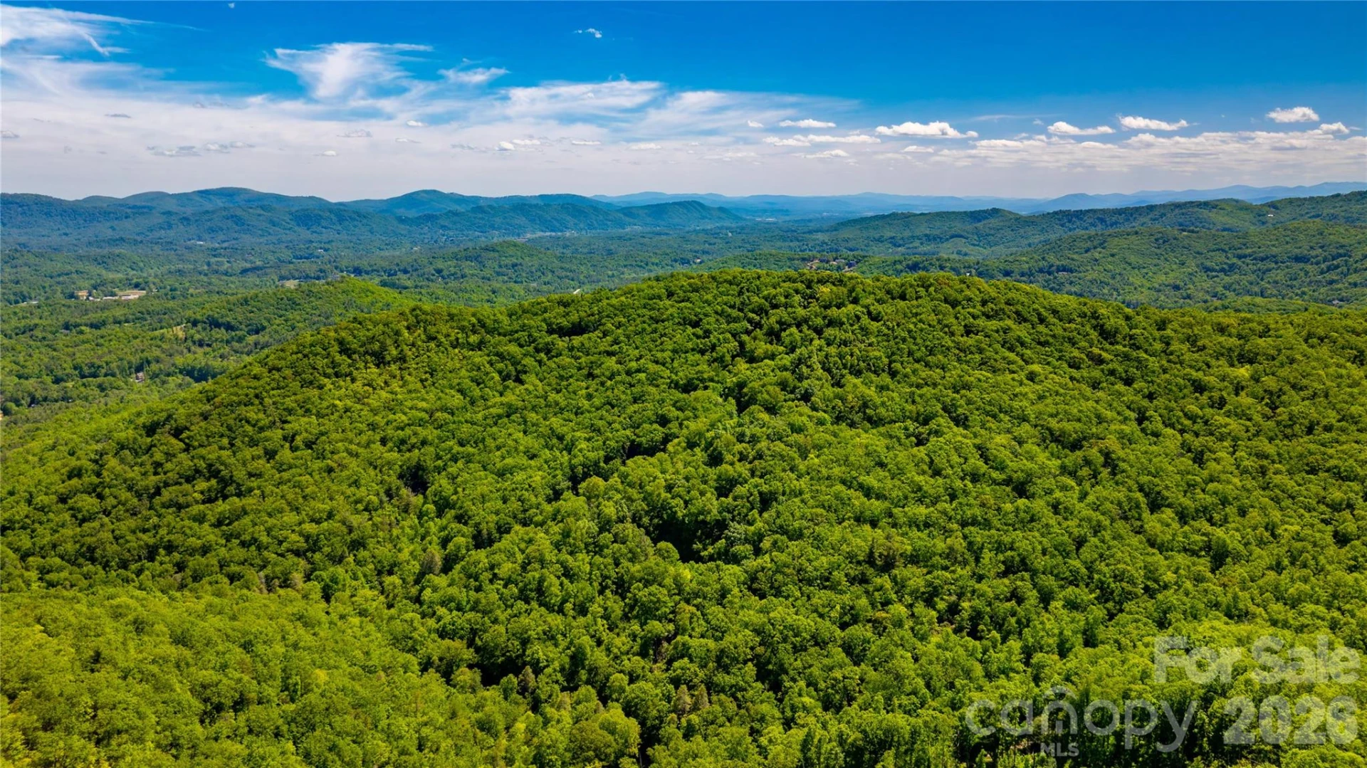 214 Ballard Creek Road - Photo 13