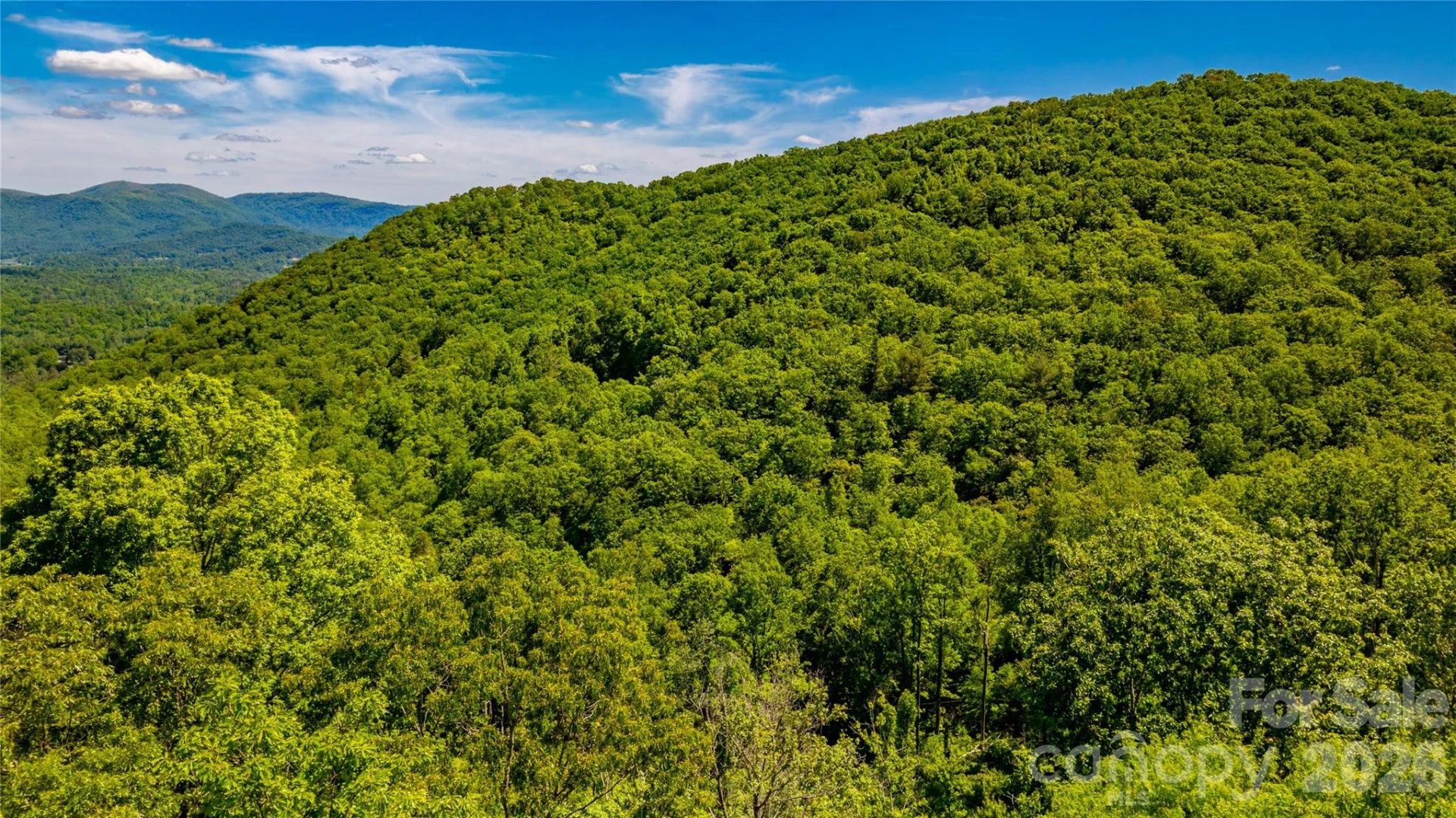 214 Ballard Creek Road - Photo 14