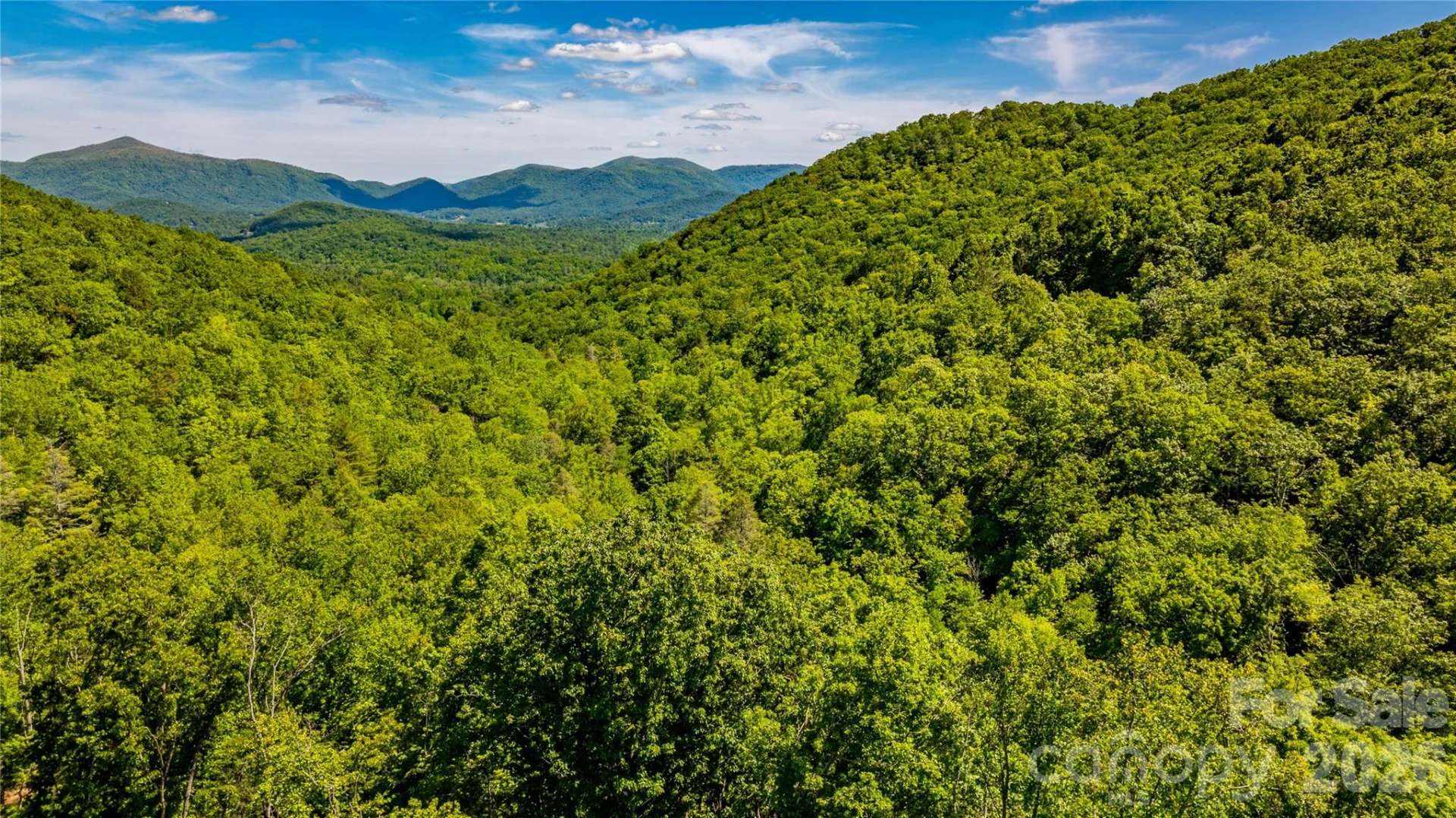 214 Ballard Creek Road - Photo 15