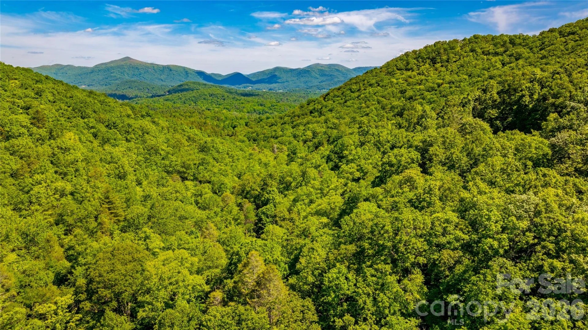 214 Ballard Creek Road - Photo 16