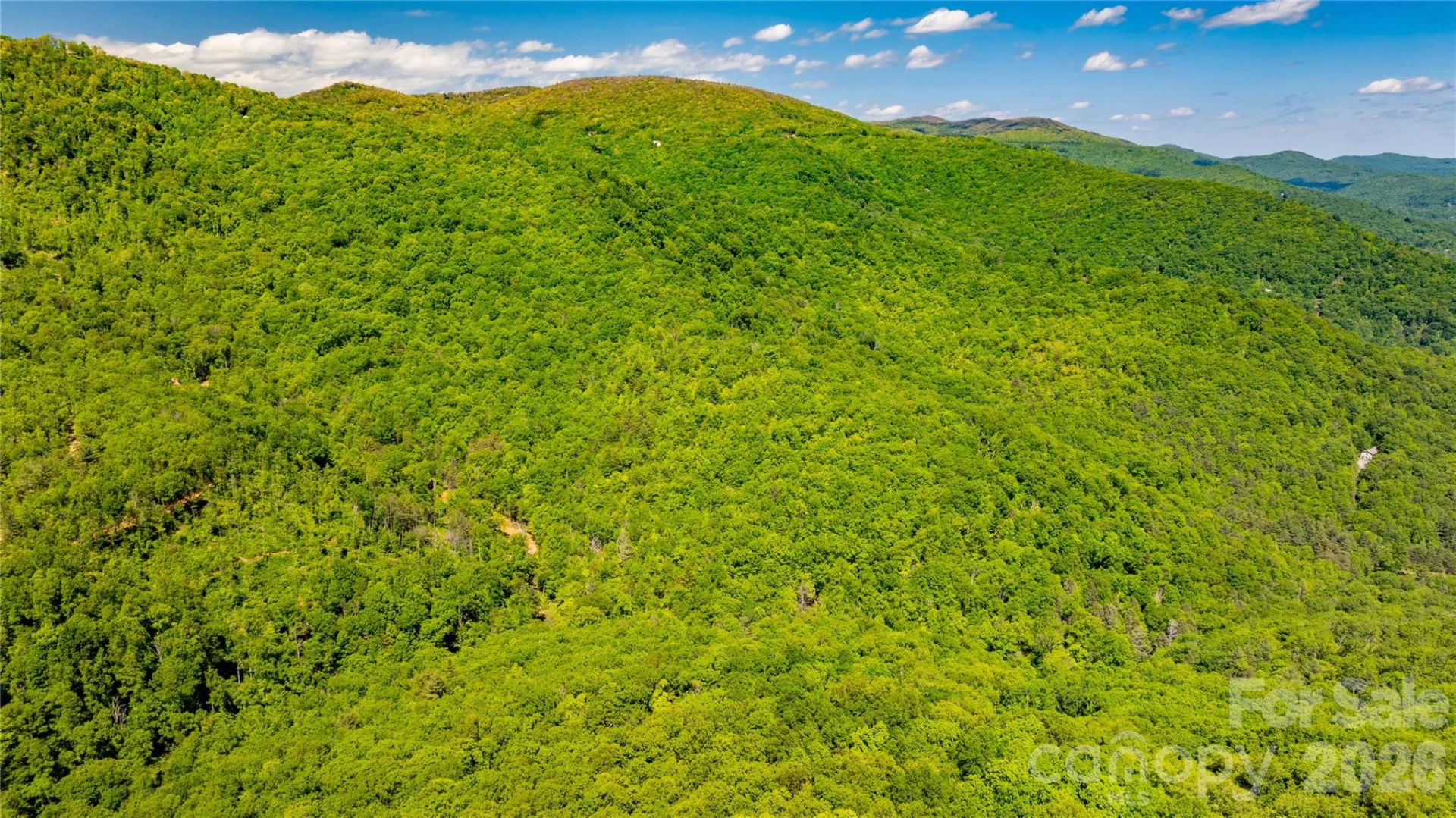 214 Ballard Creek Road - Photo 17