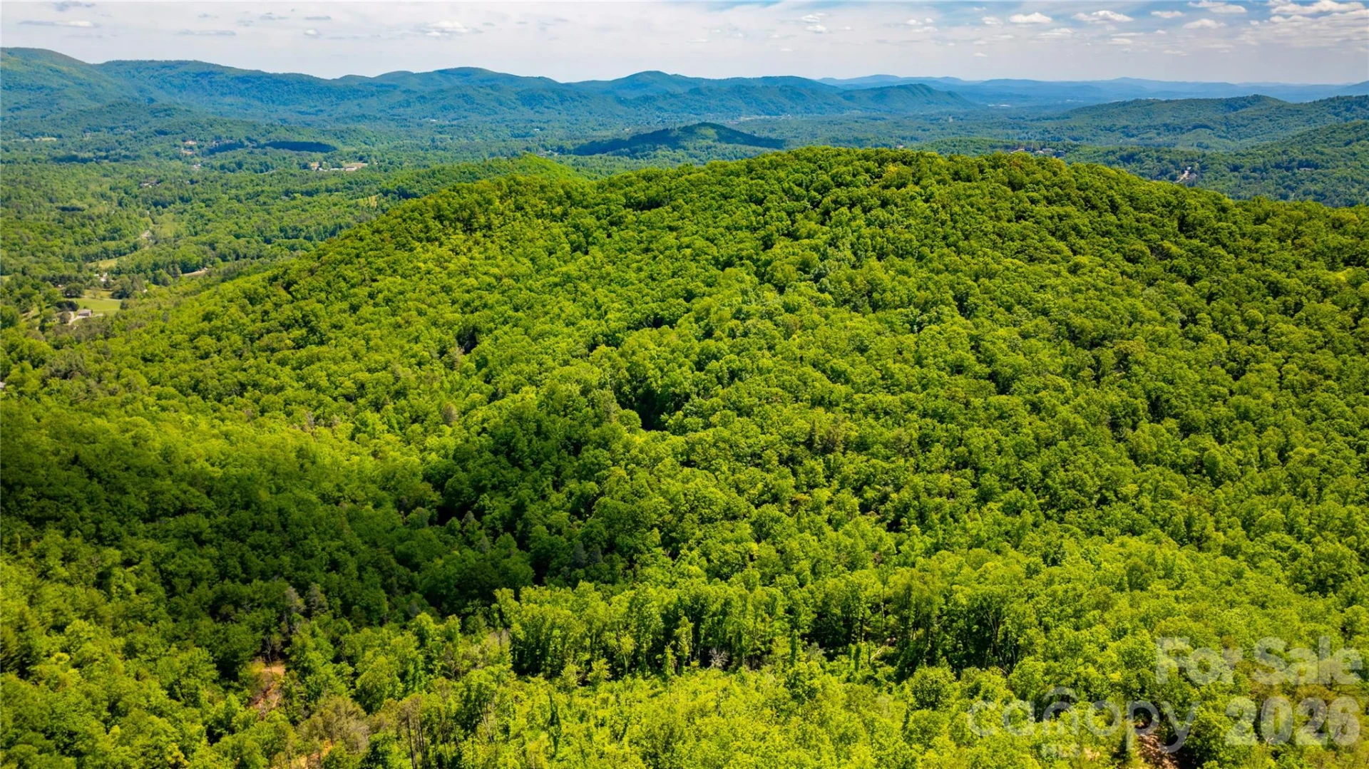 214 Ballard Creek Road - Photo 5