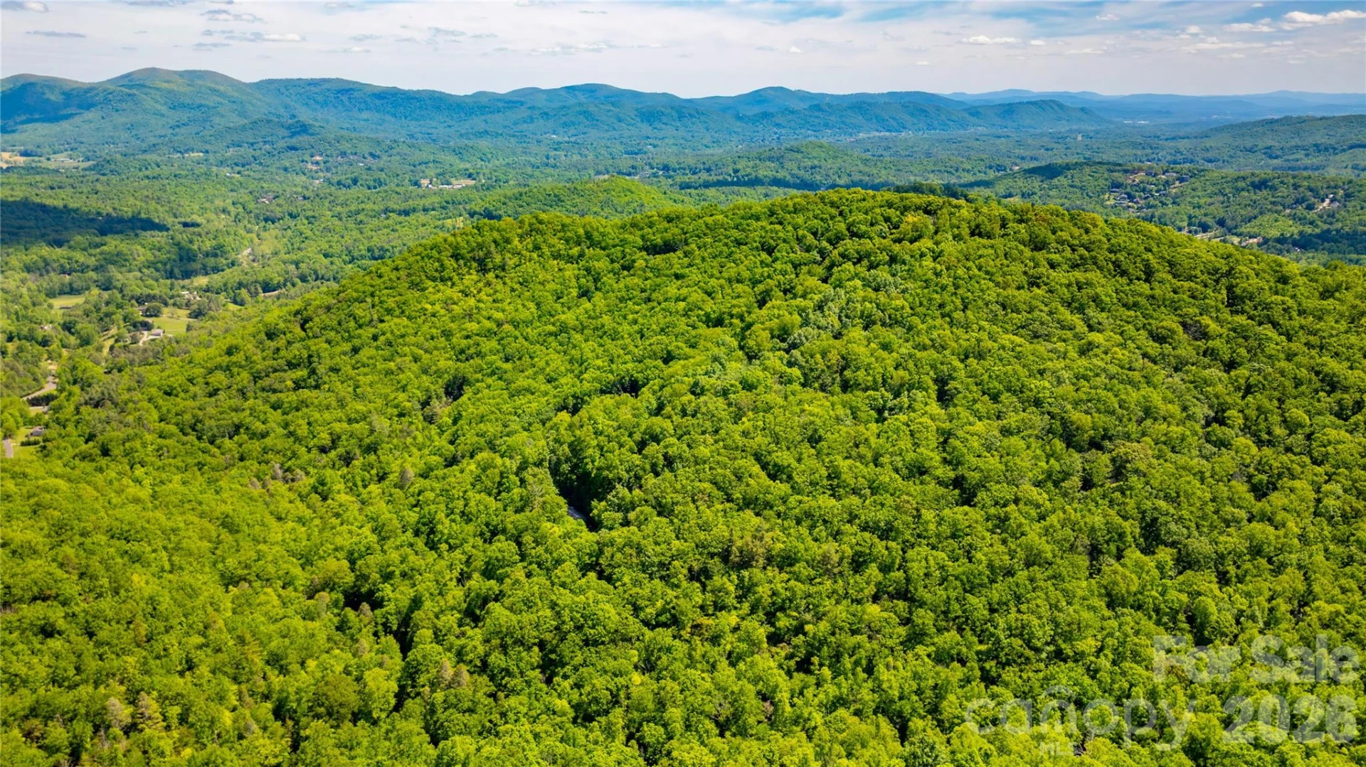 214 Ballard Creek Road - Photo 6