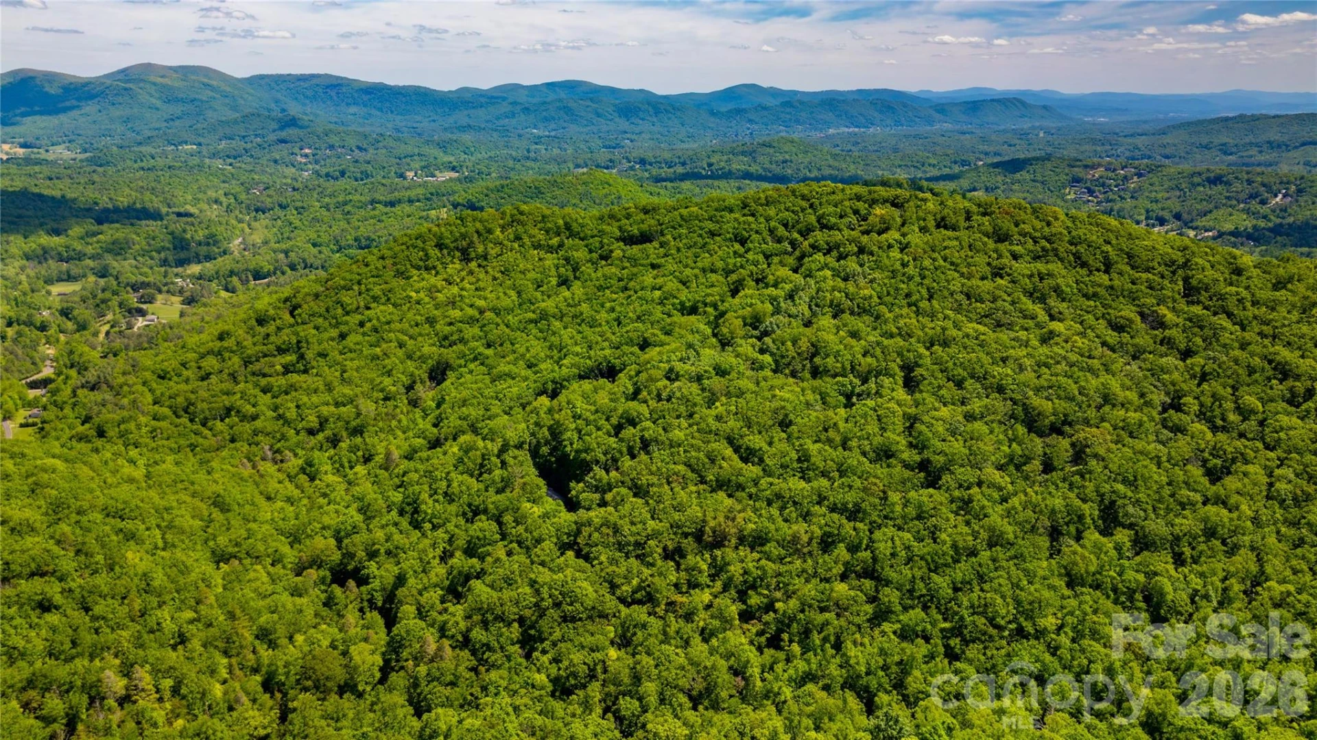 214 Ballard Creek Road - Photo 7