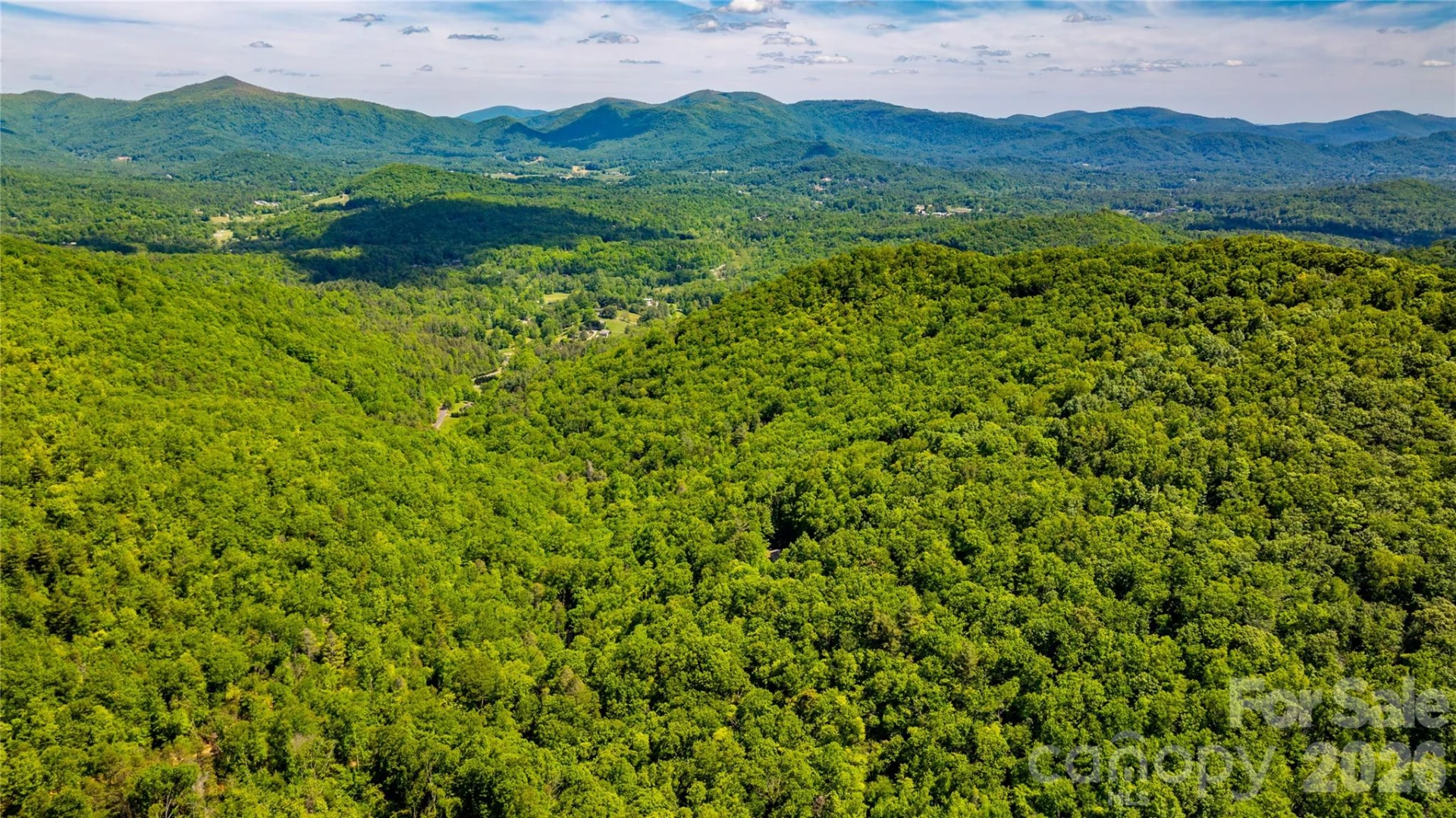 214 Ballard Creek Road - Photo 8