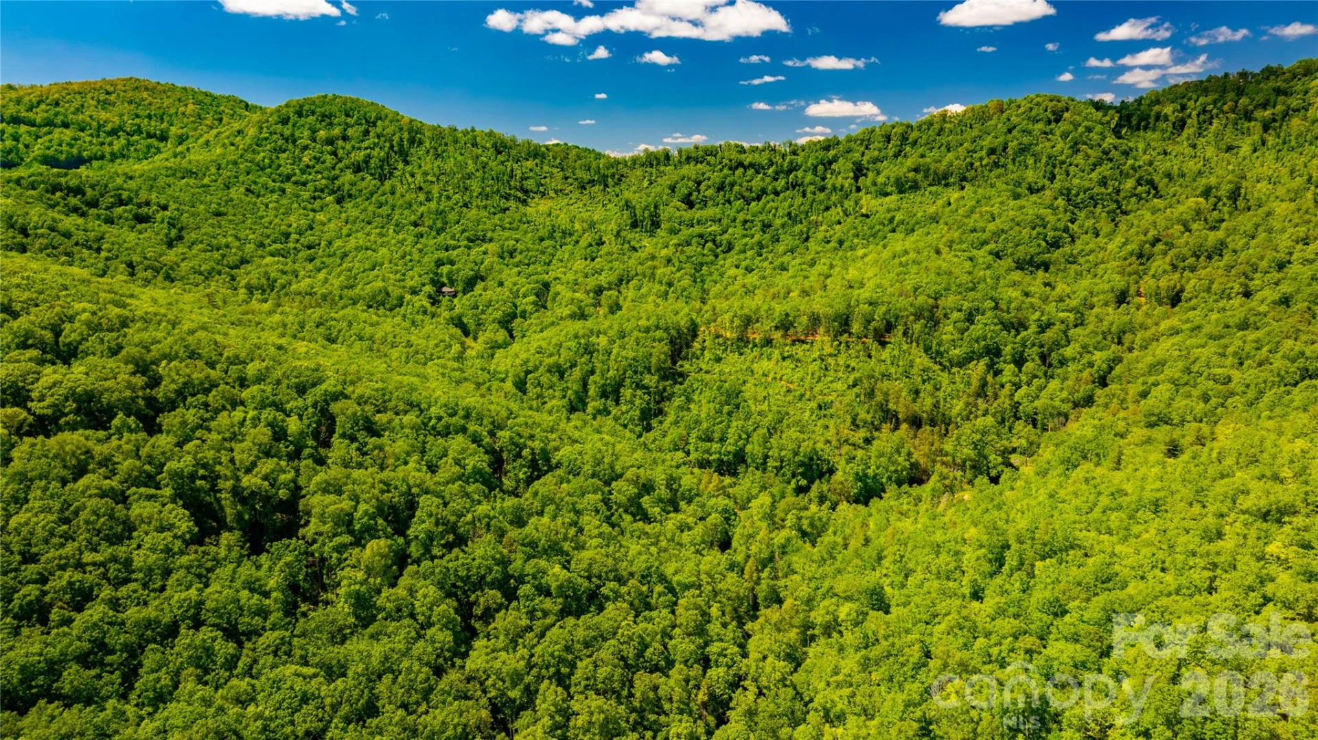 214 Ballard Creek Road - Photo 10