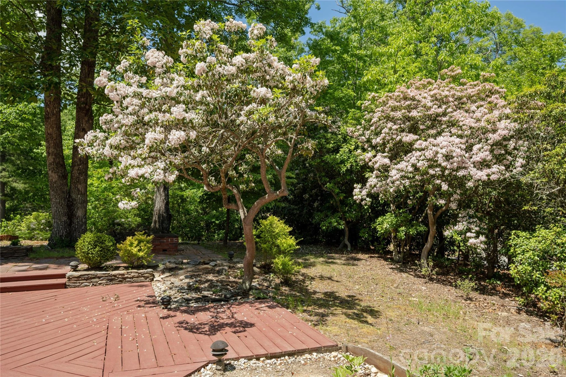 4 Galax Lane - Photo 27